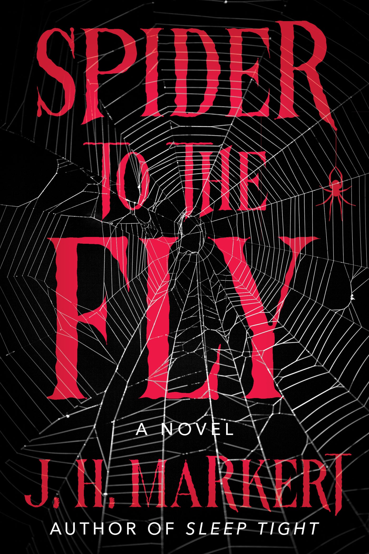 Spider to the Fly