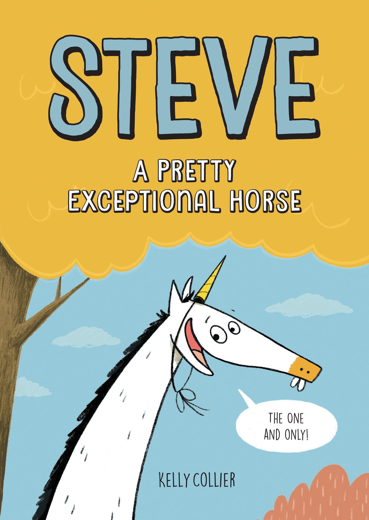Steve, a Pretty Exceptional Horse