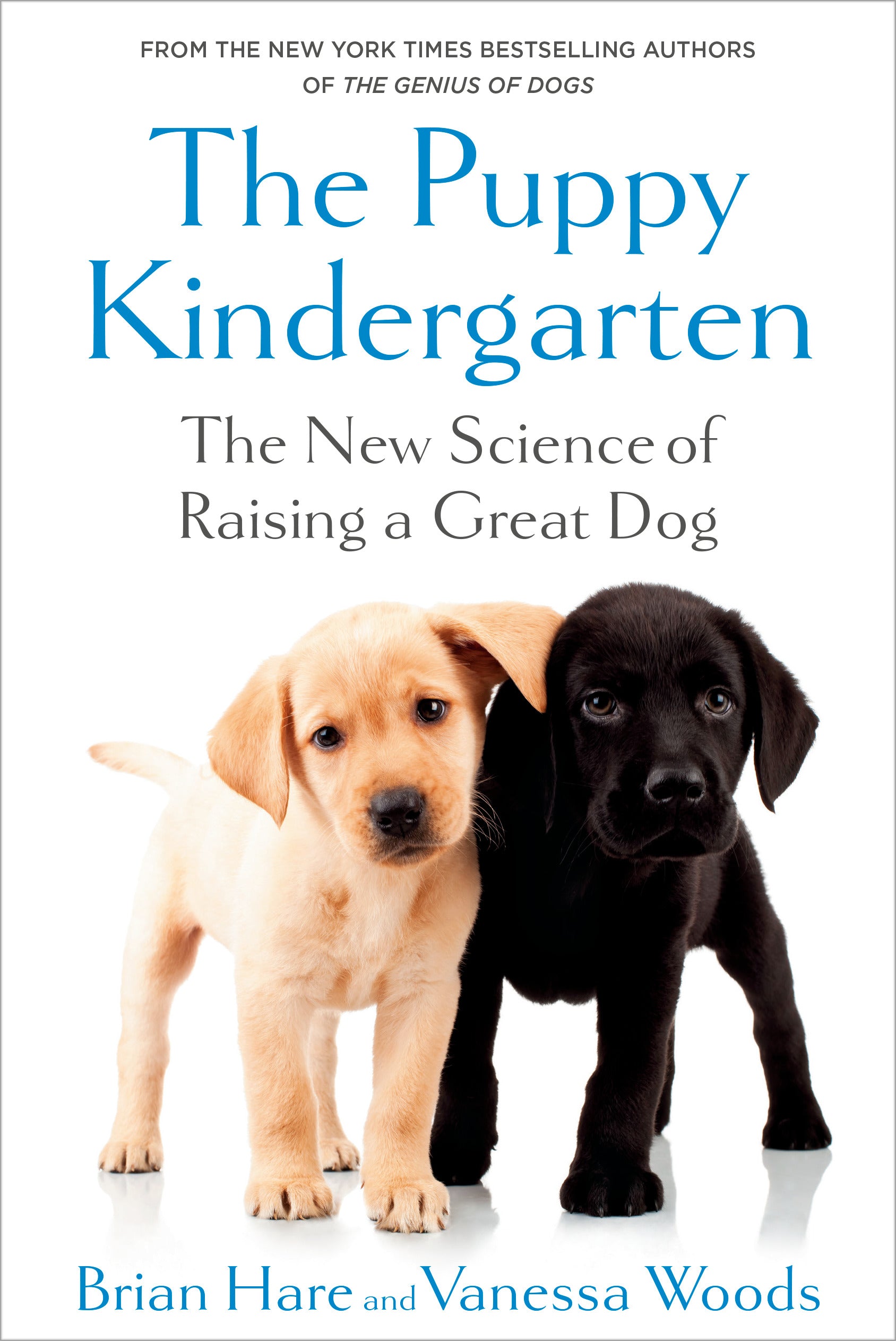 Puppy Kindergarten