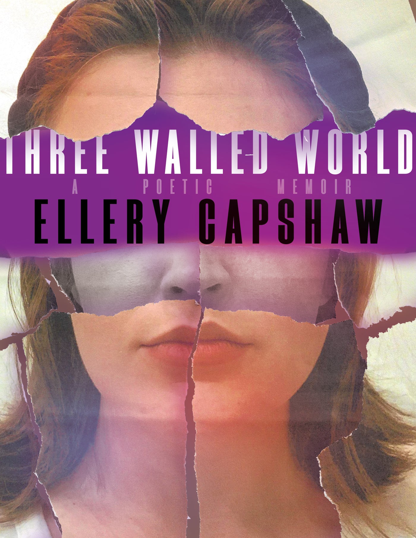 Three Walled World