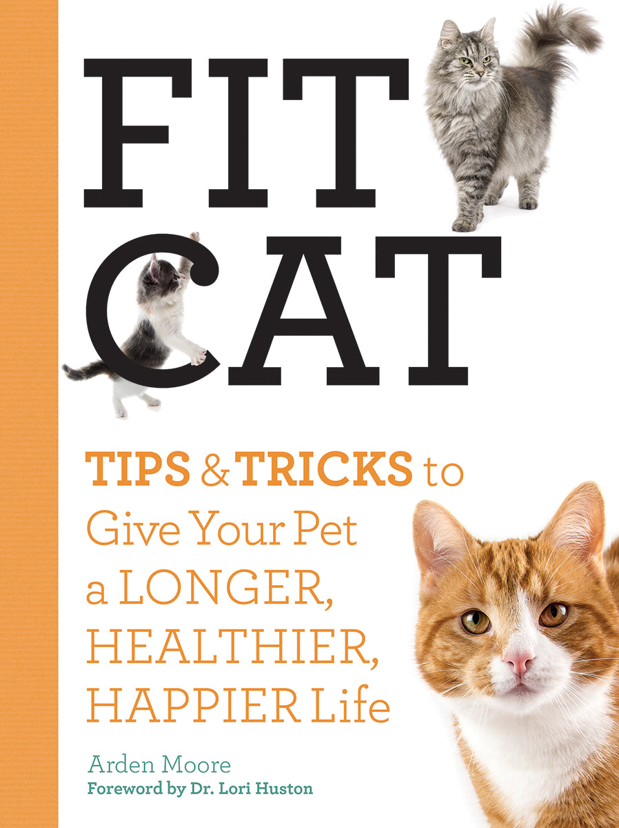 Fit Cat