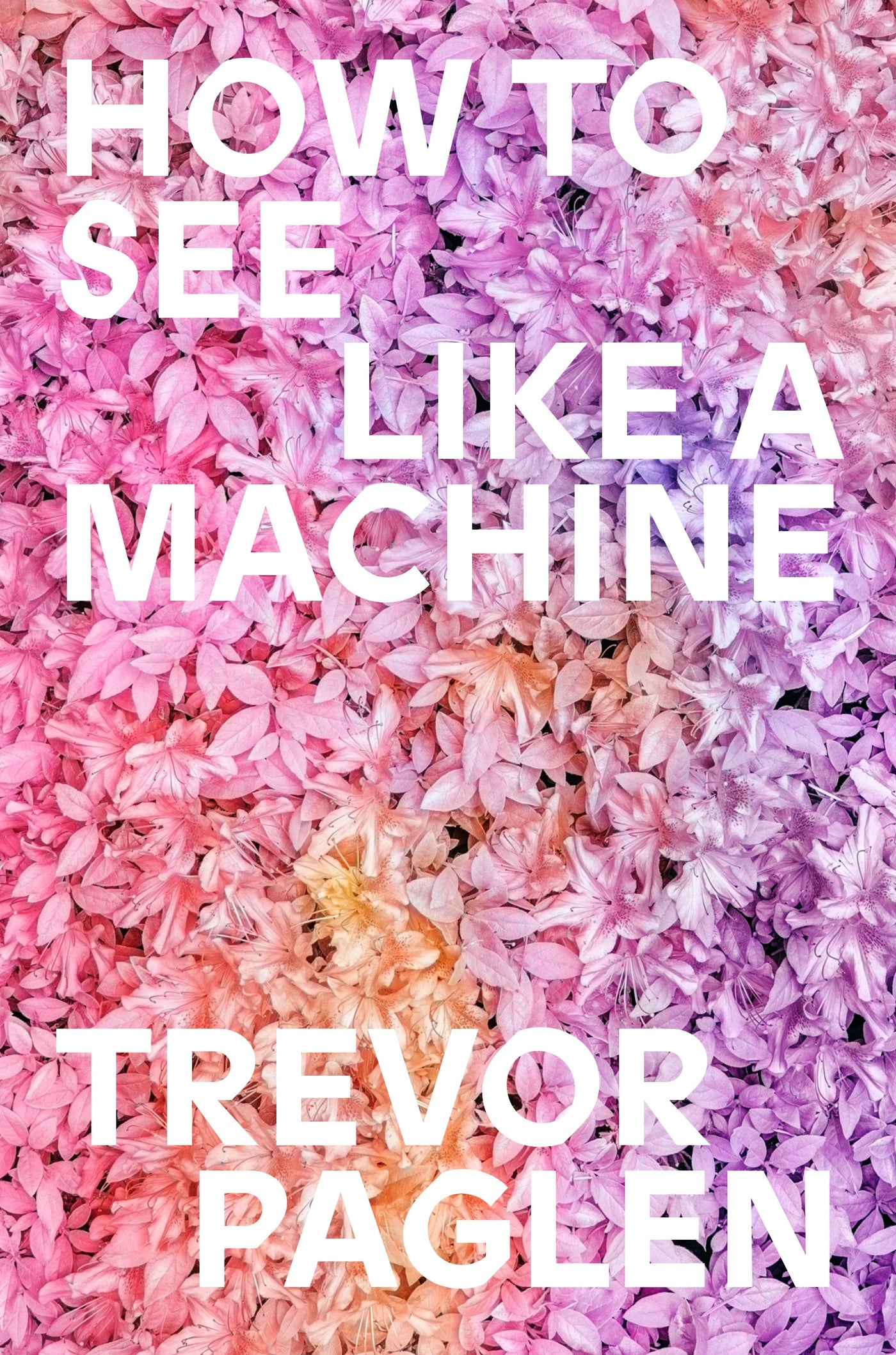 How to See Like a Machine