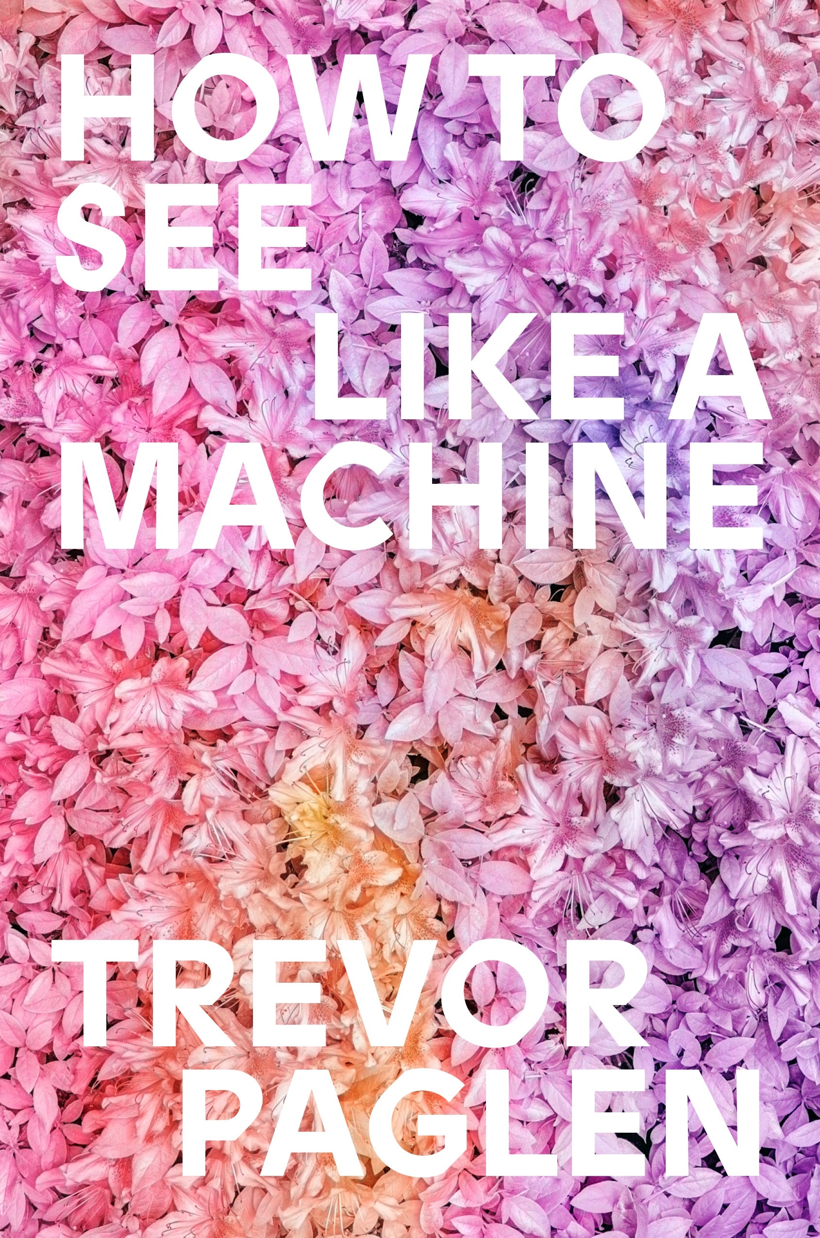 How to See Like a Machine