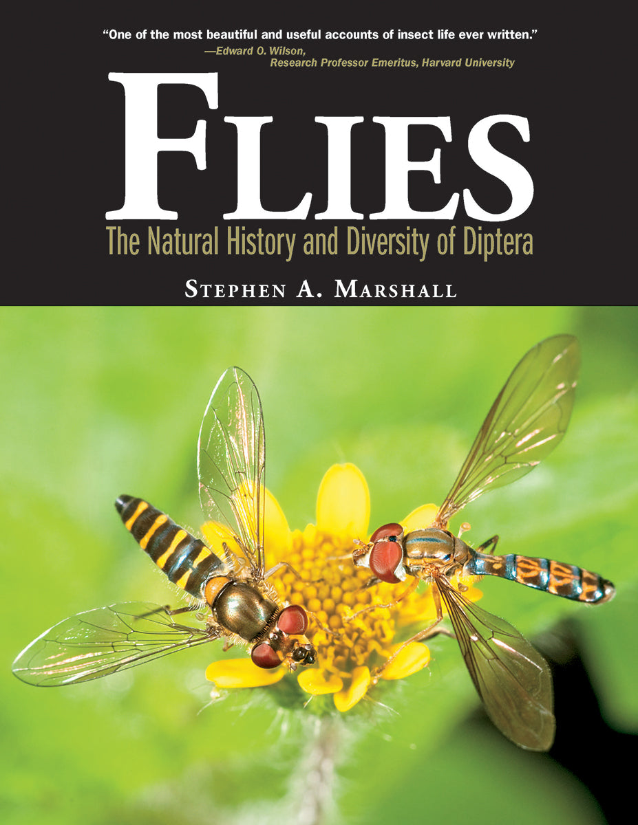 Flies