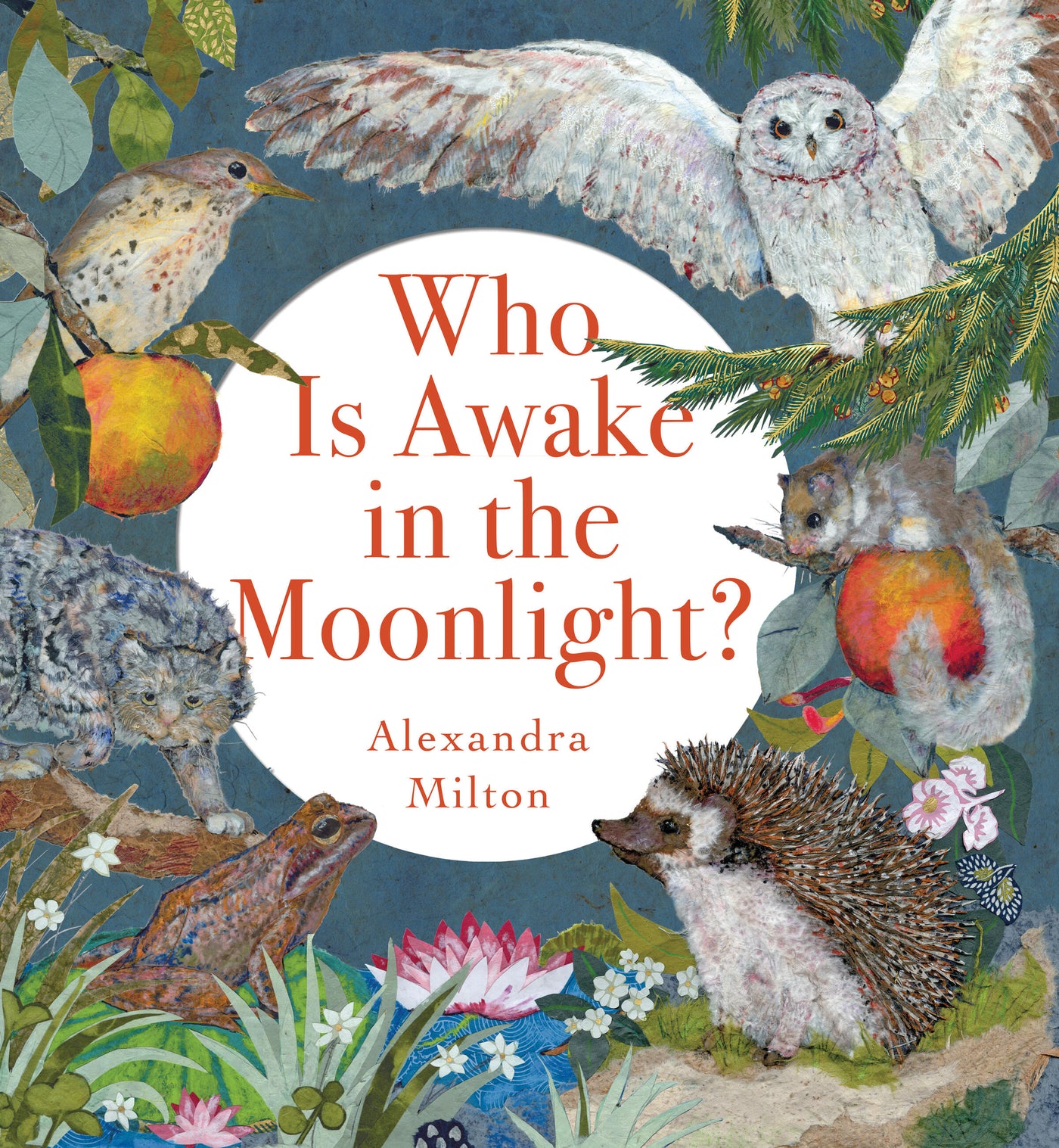 Who Is Awake in the Moonlight?