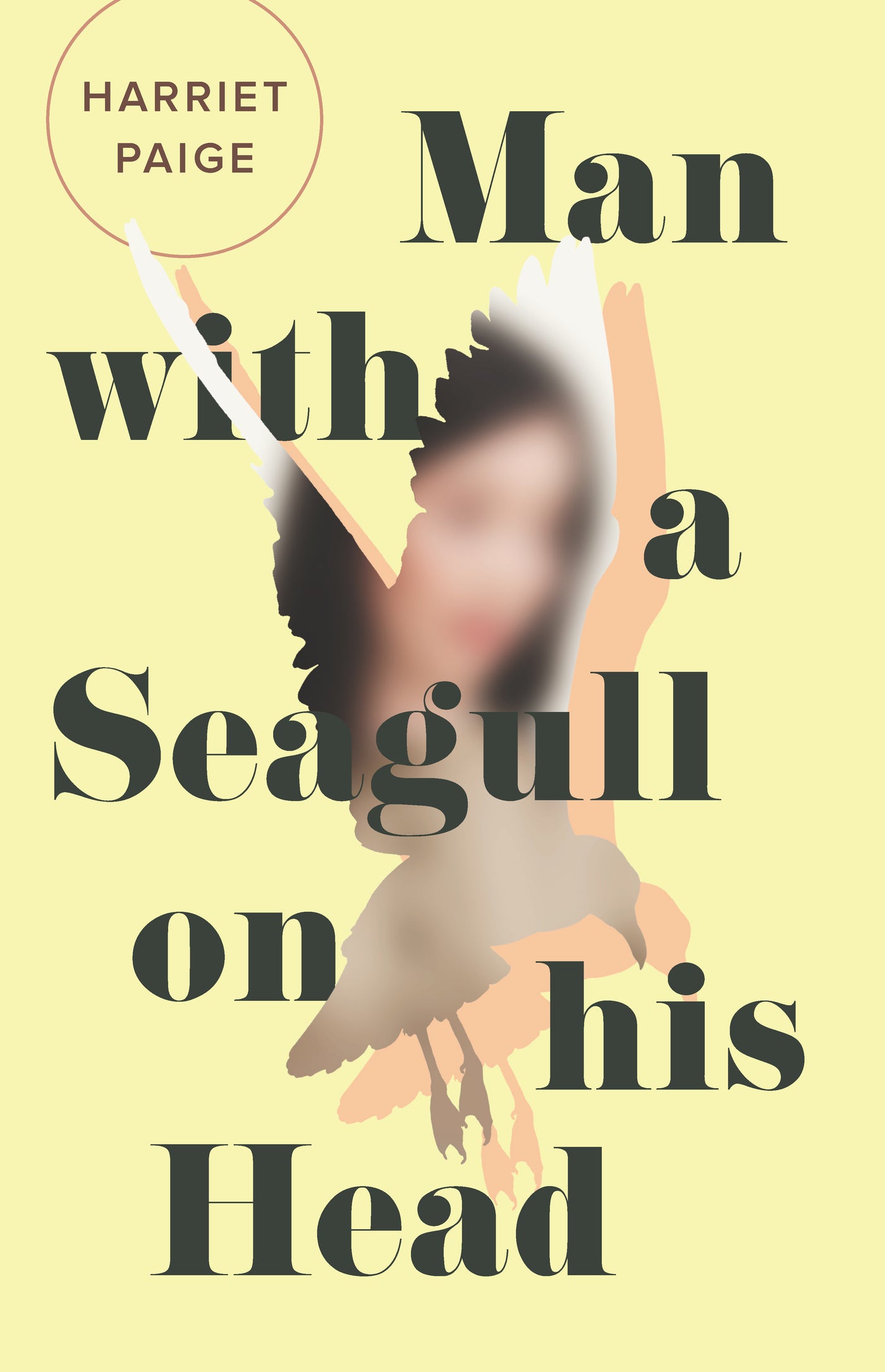 Man with a Seagull on His Head