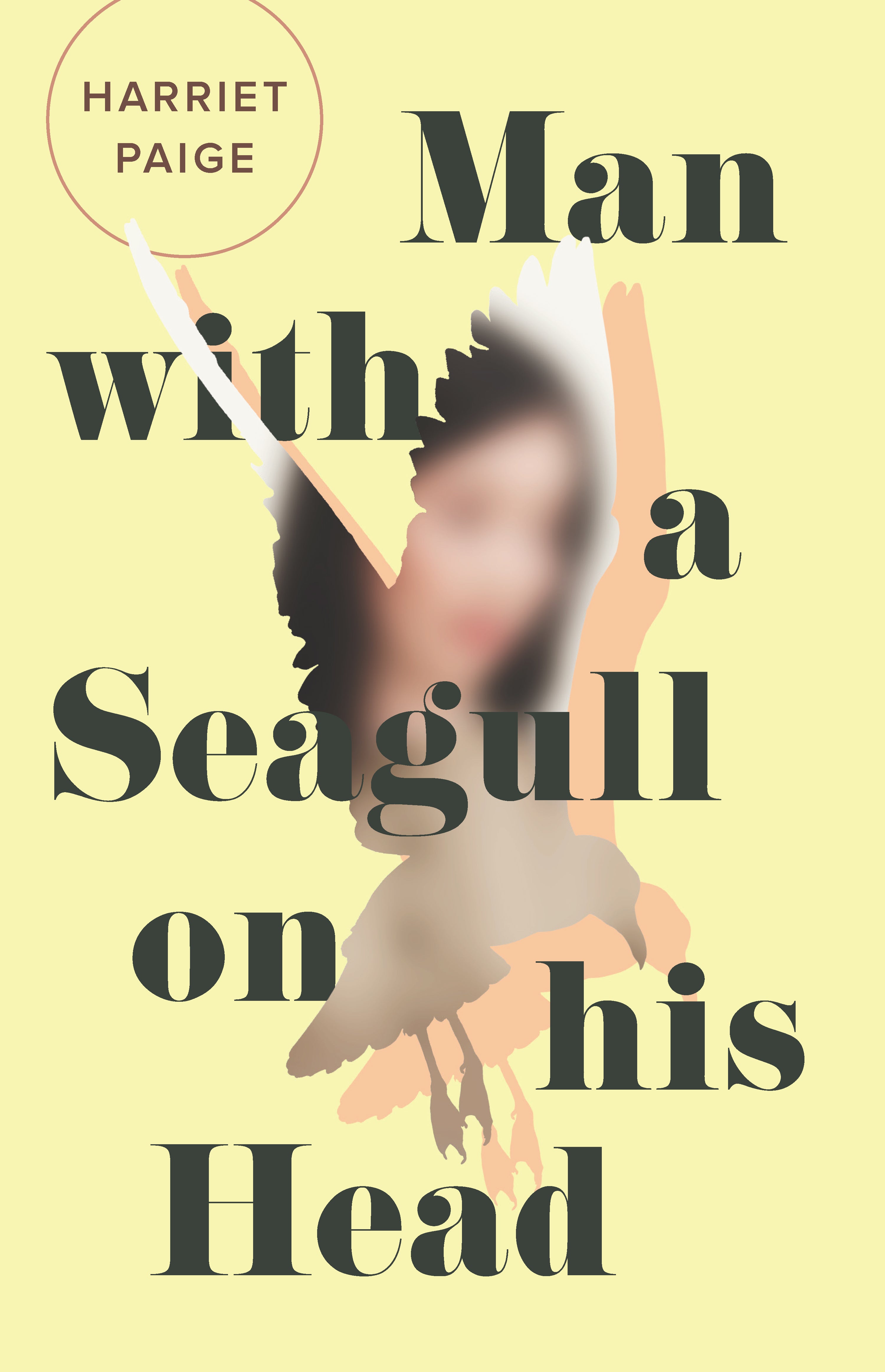 Man with a Seagull on His Head