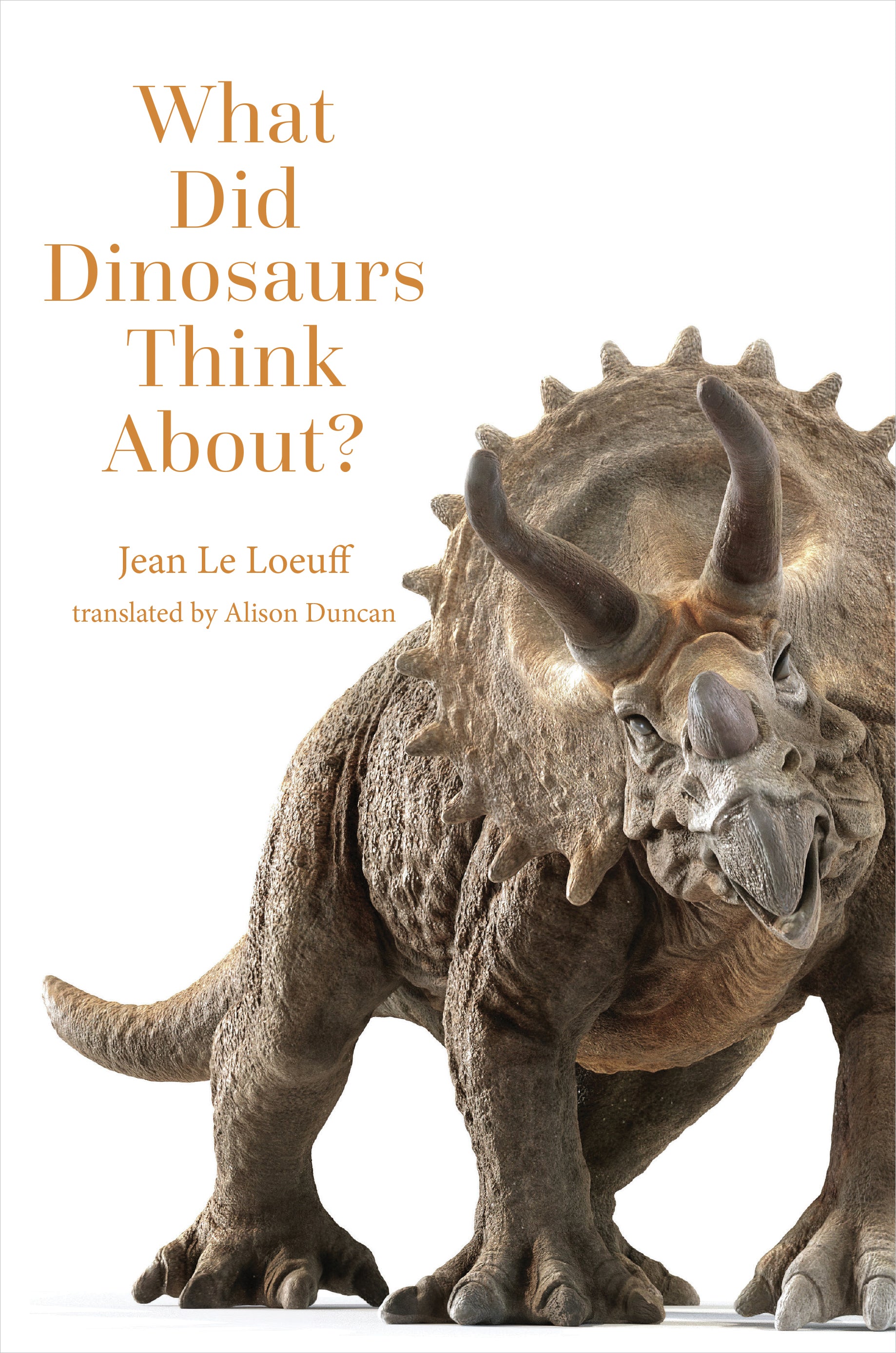What Did Dinosaurs Think About?