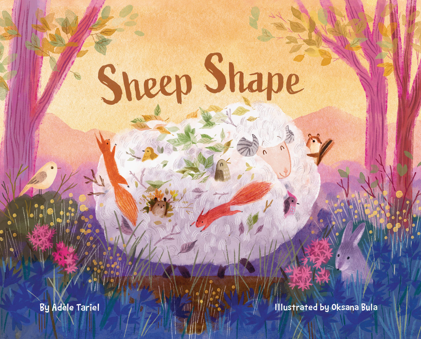 Sheep Shape