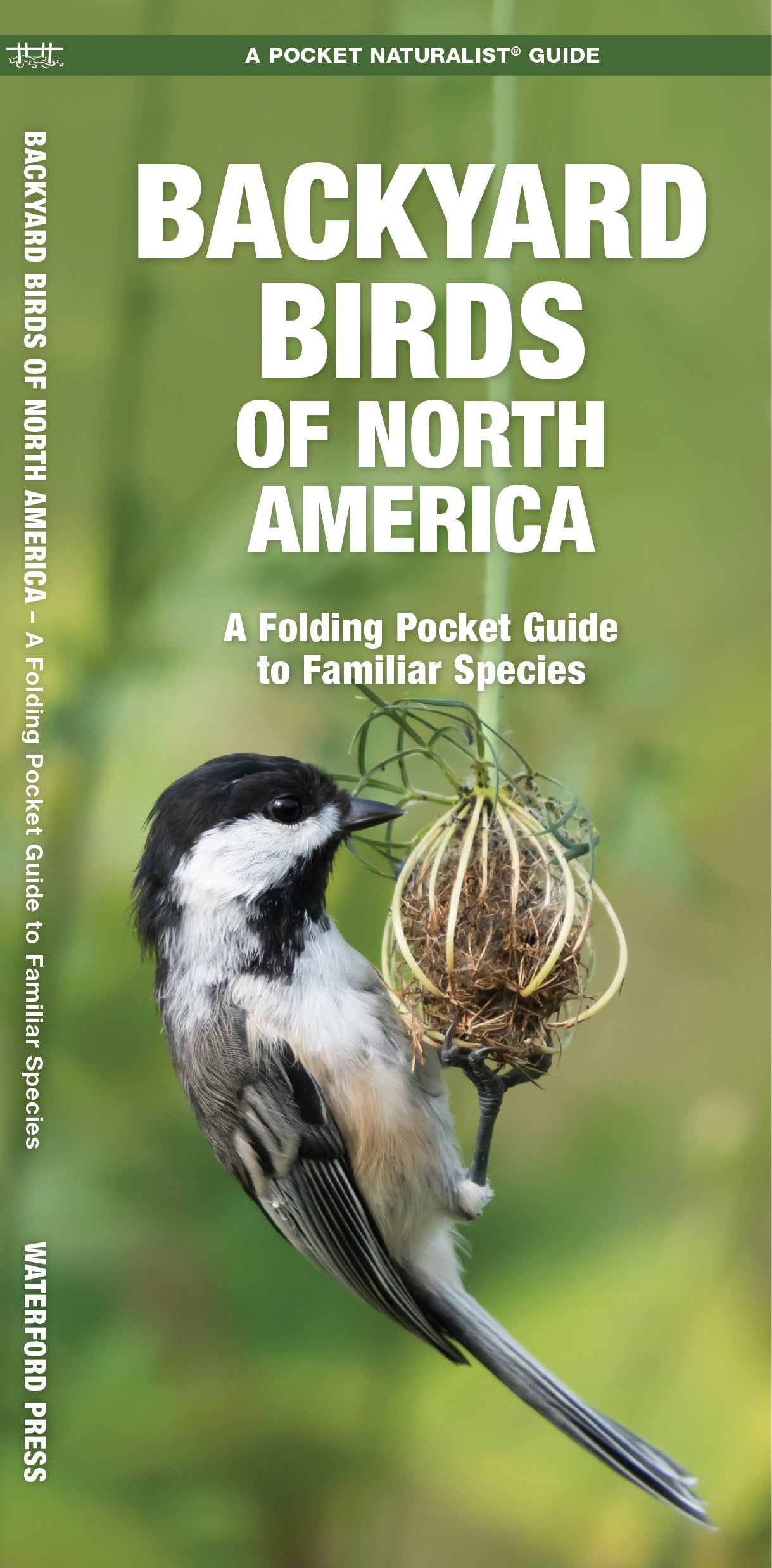 Backyard Birds of North America