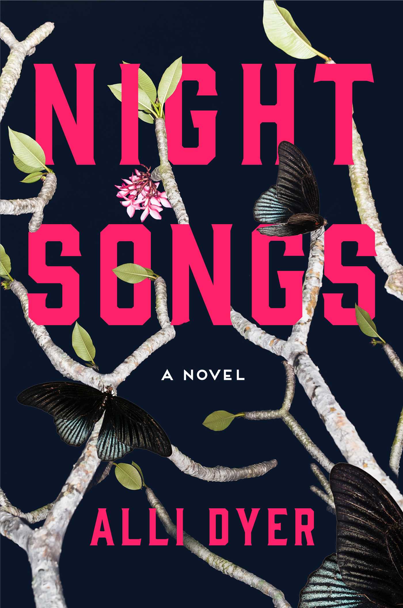 Night Songs