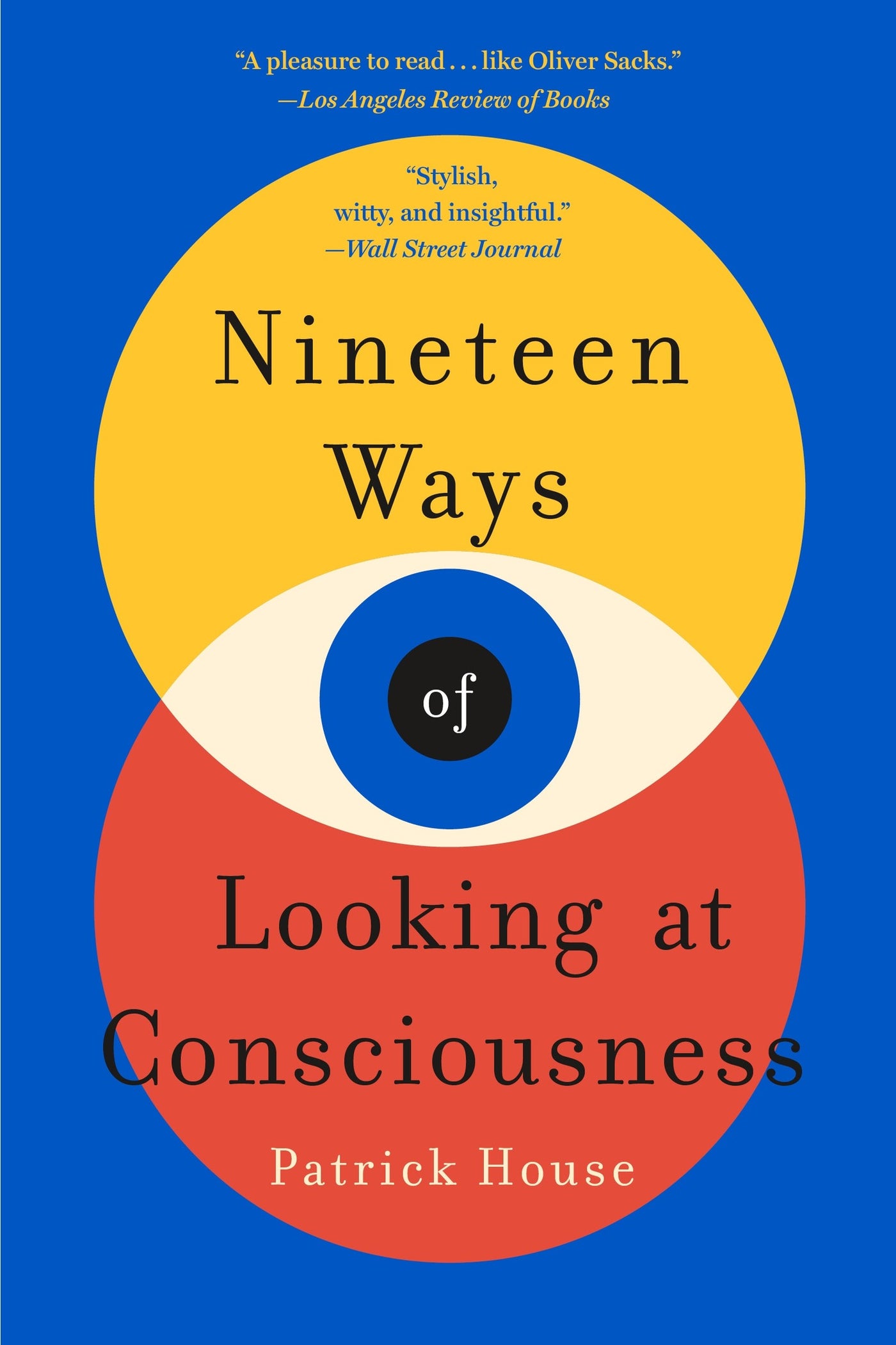 Nineteen Ways of Looking at Consciousness