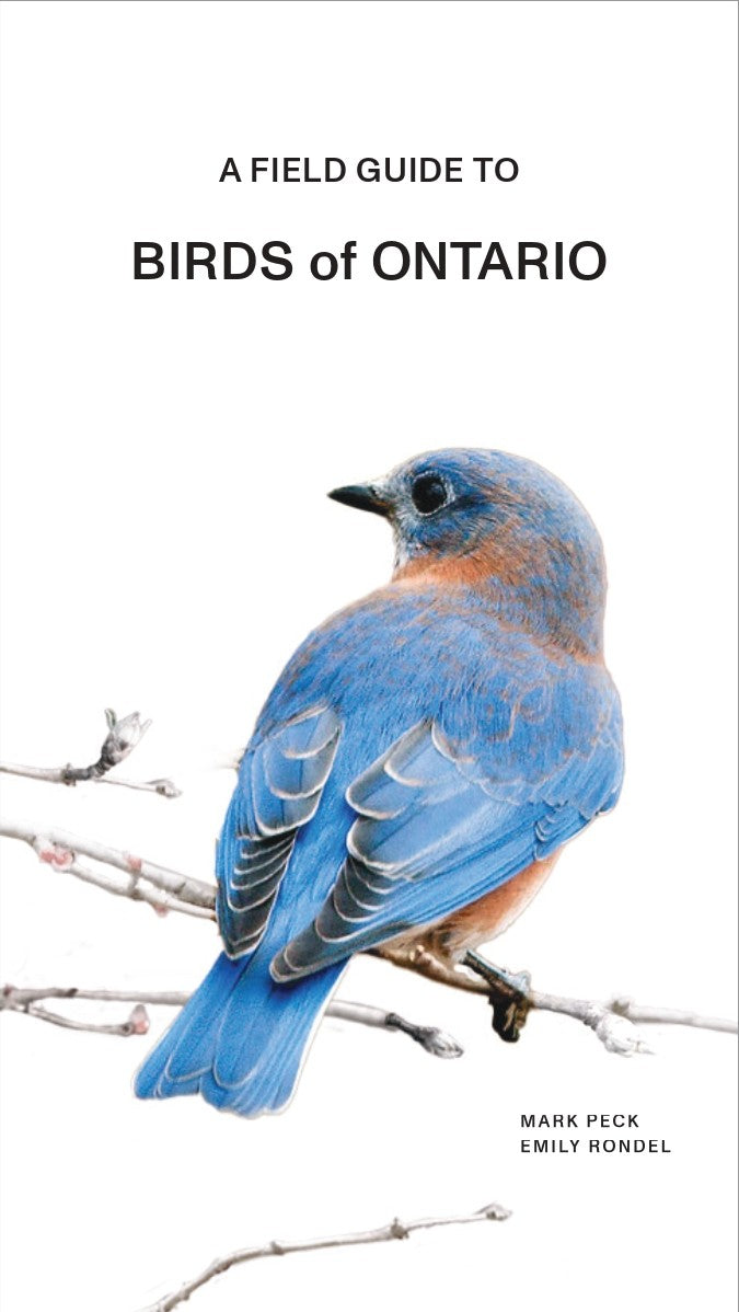 A Field Guide to Birds of Ontario