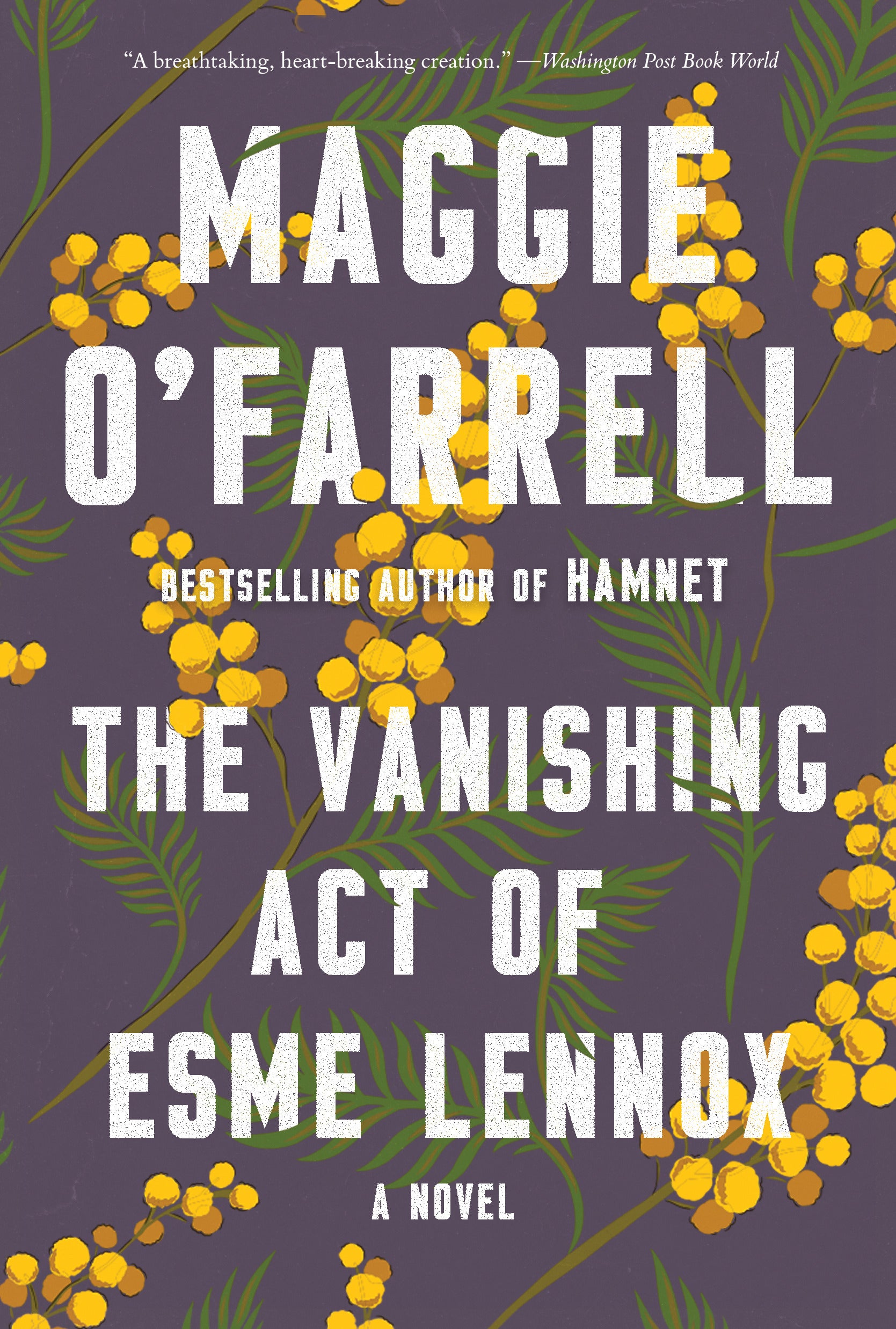 The Vanishing Act of Esme Lennox