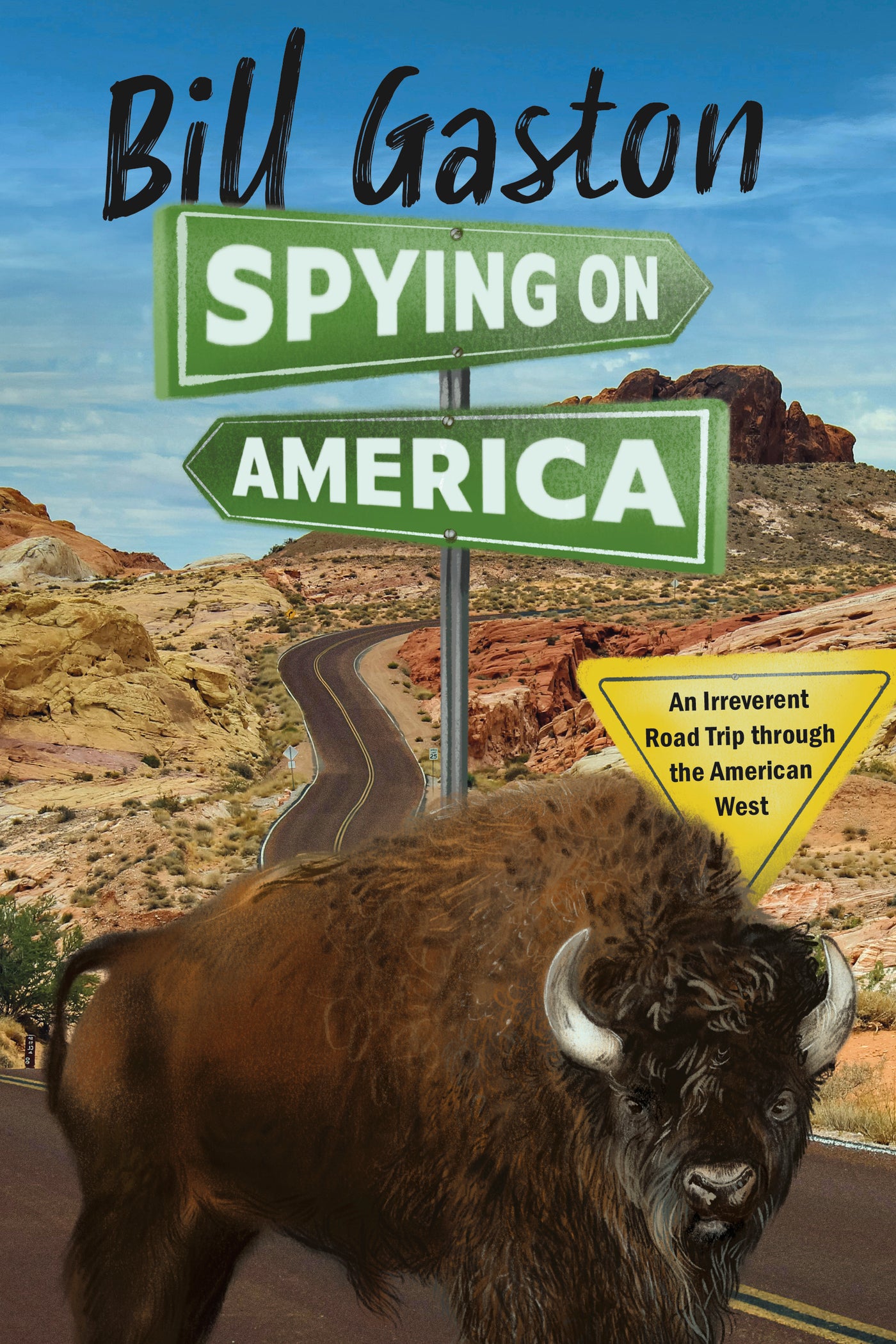 Spying on America