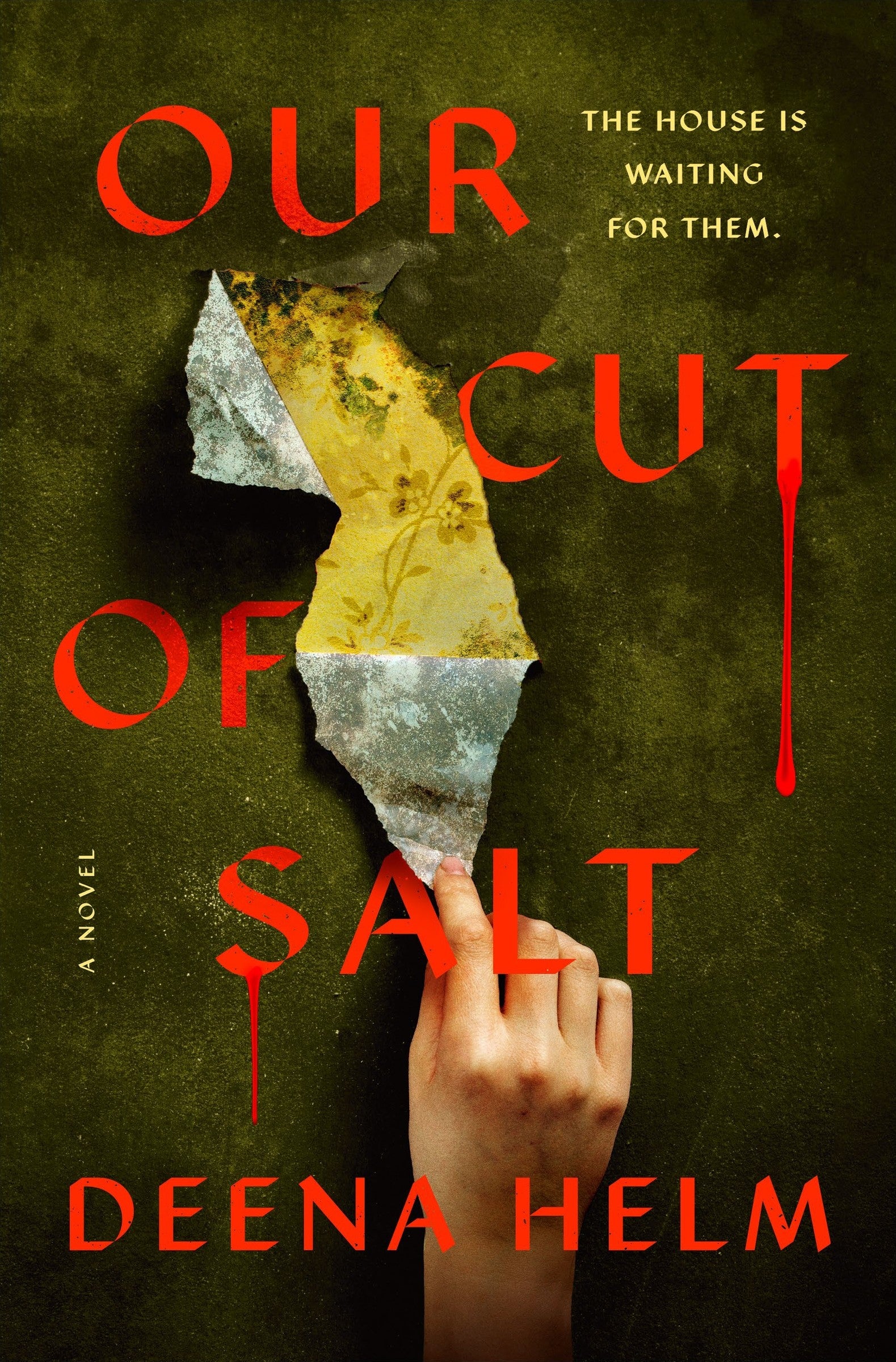 Our Cut of Salt