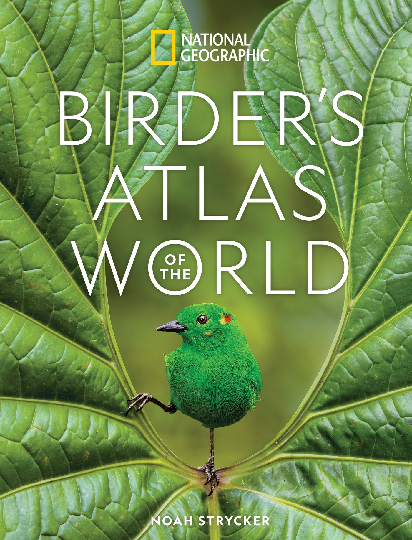 National Geographic Birder's Atlas of the World