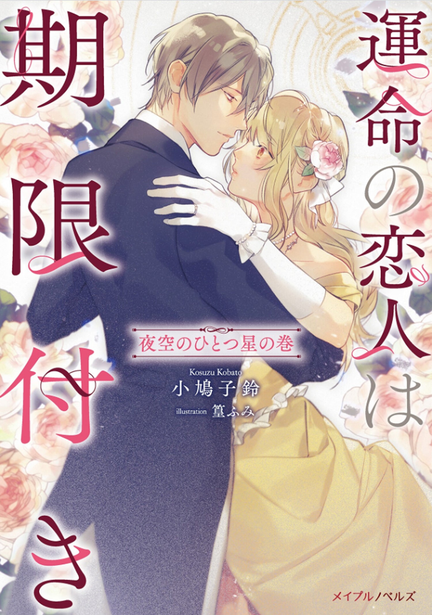 True Love Fades Away When the Contract Ends - One Star in the Night Sky (Light Novel) [Volume 1]