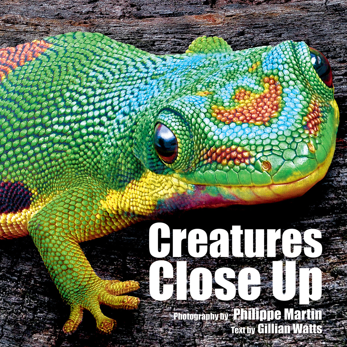 Creatures Close Up
