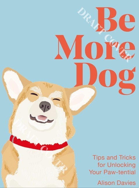 Be More Dog