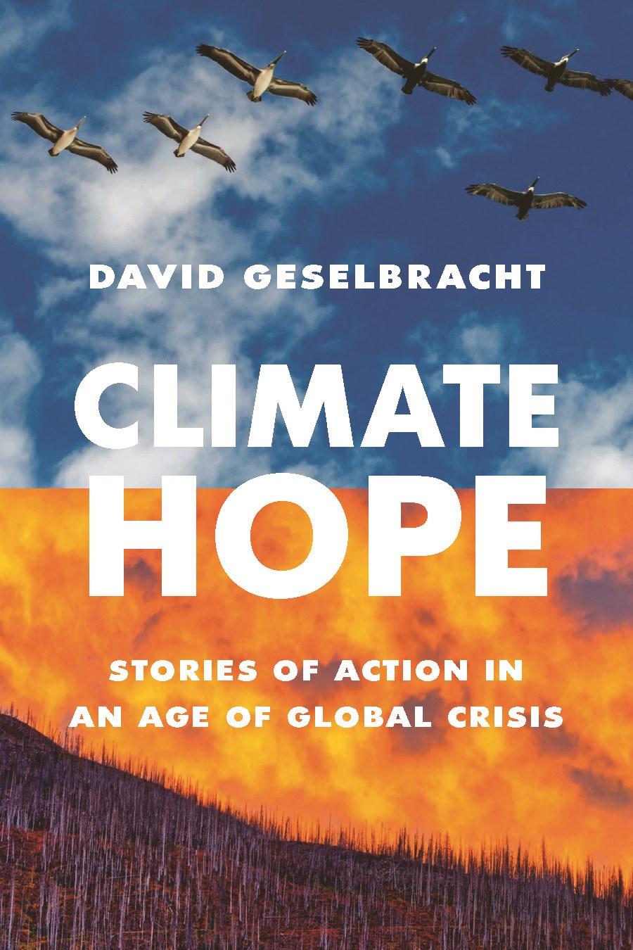 Climate Hope