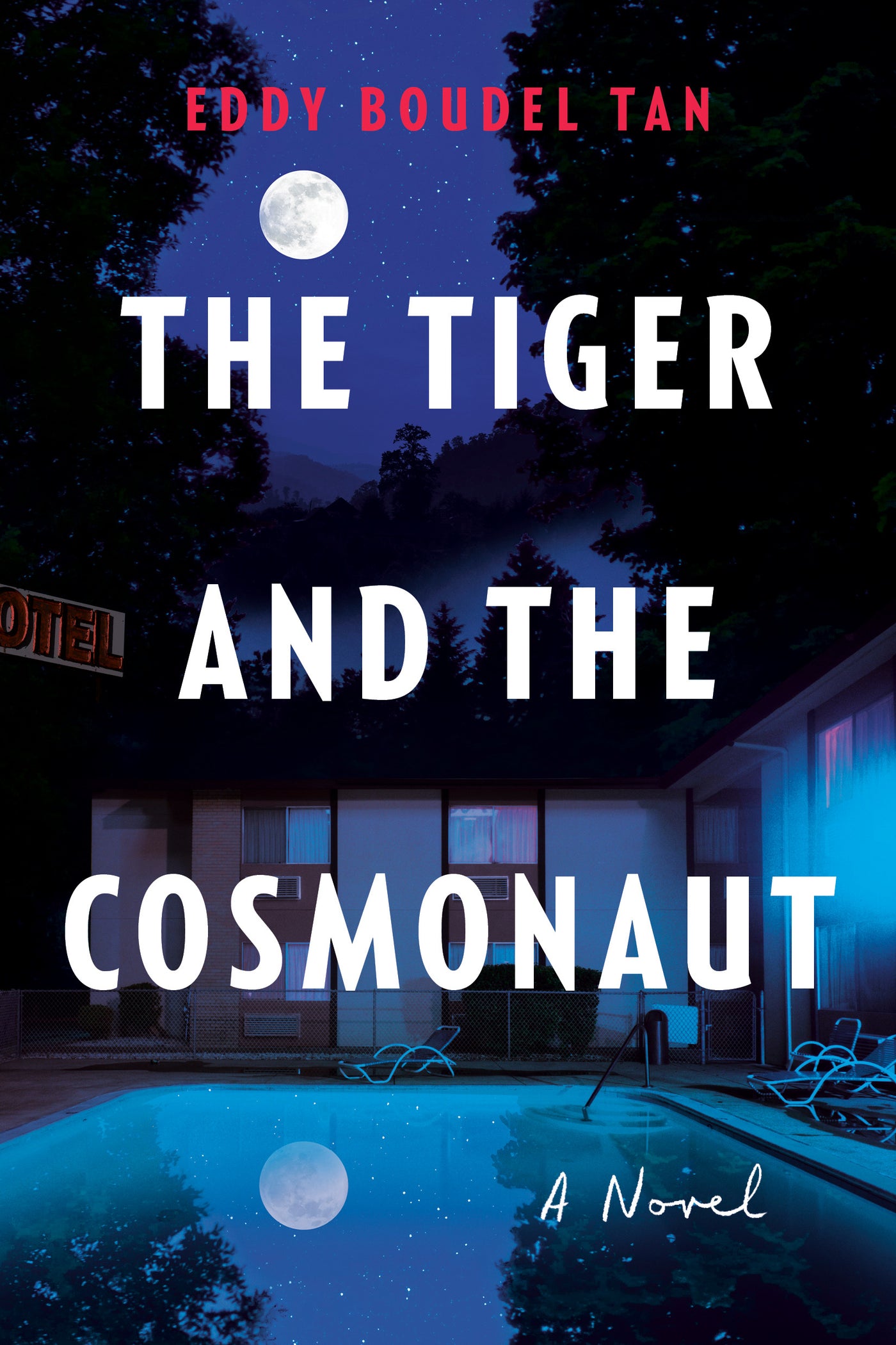 The Tiger and the Cosmonaut