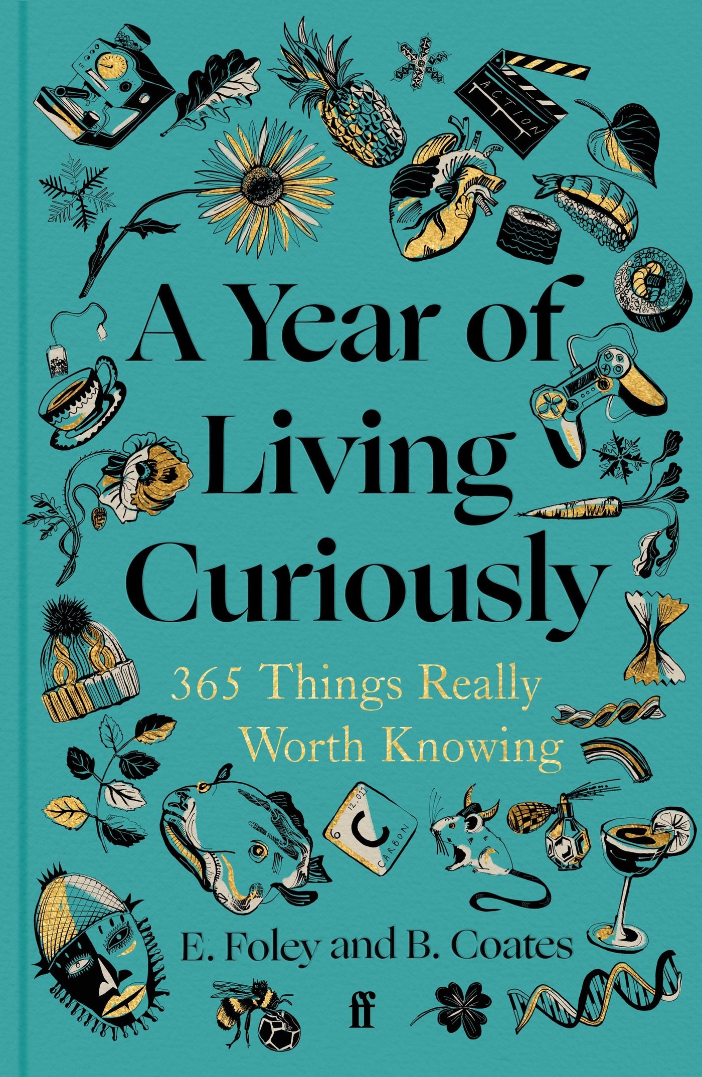 A Year of Living Curiously