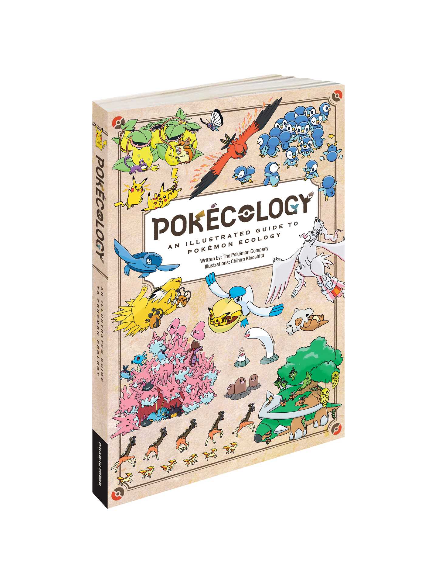 Pokécology An Illustrated Guide to Pokémon Ecology