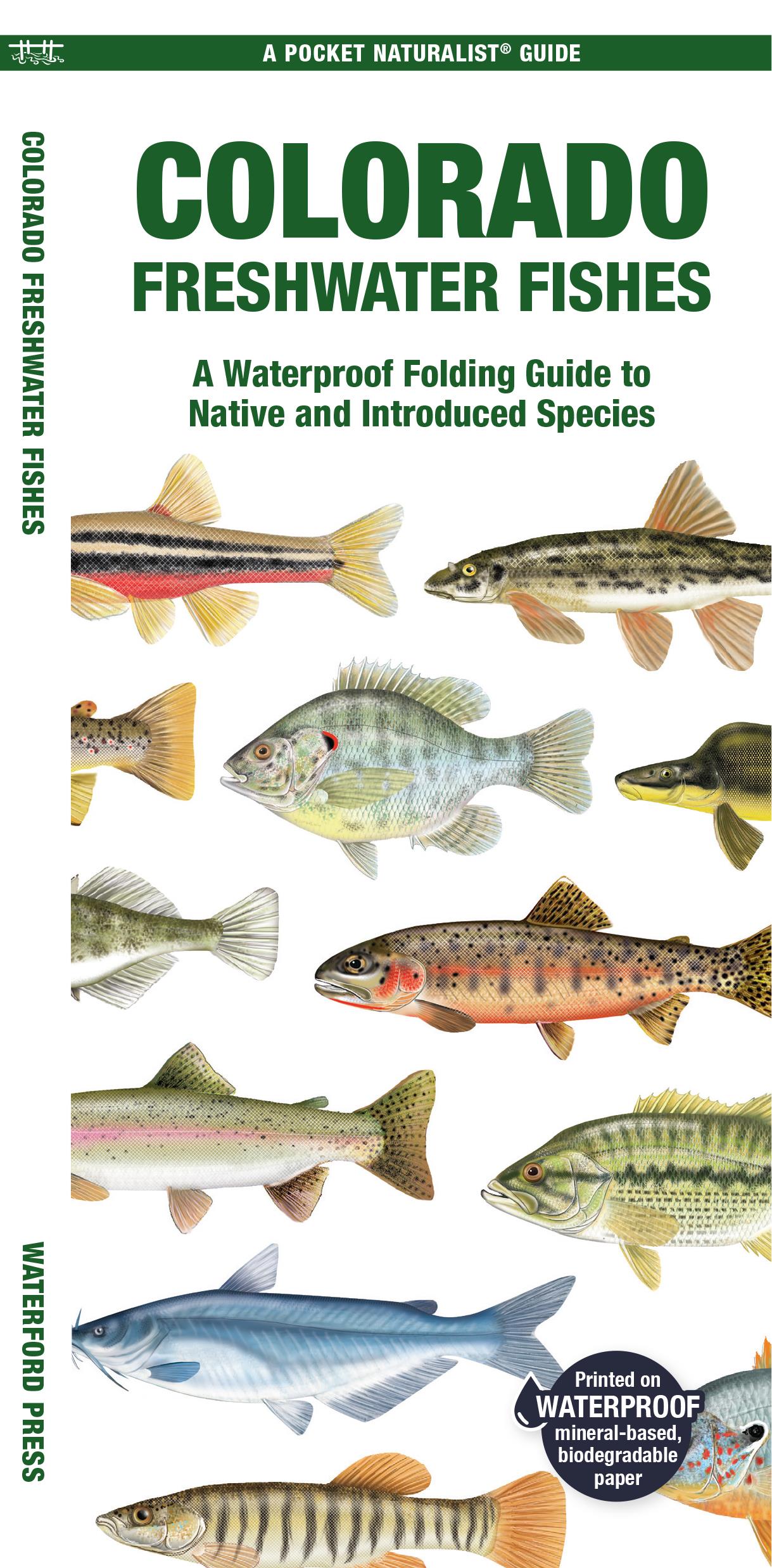 Colorado Freshwater Fishes