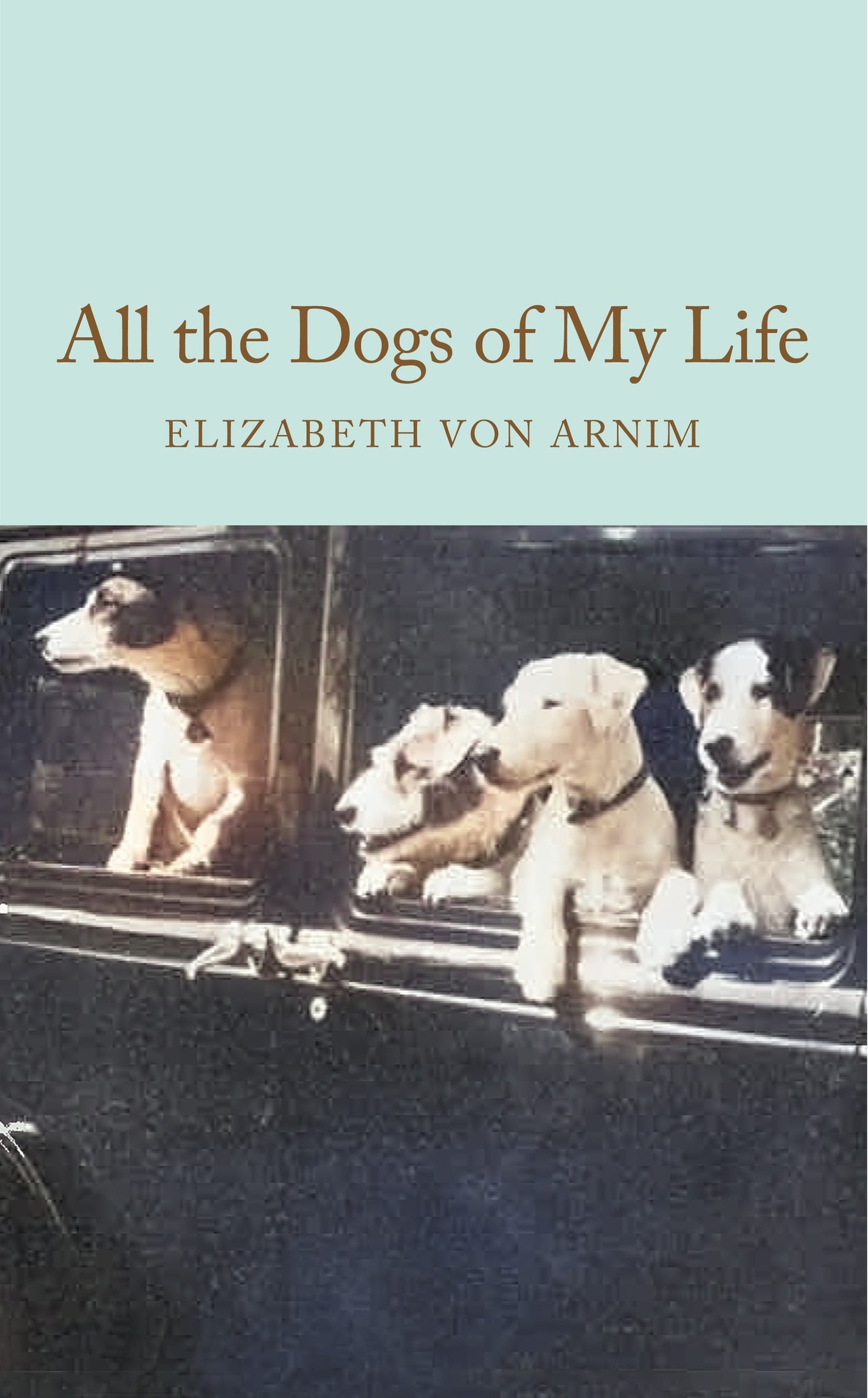 All the Dogs of My Life