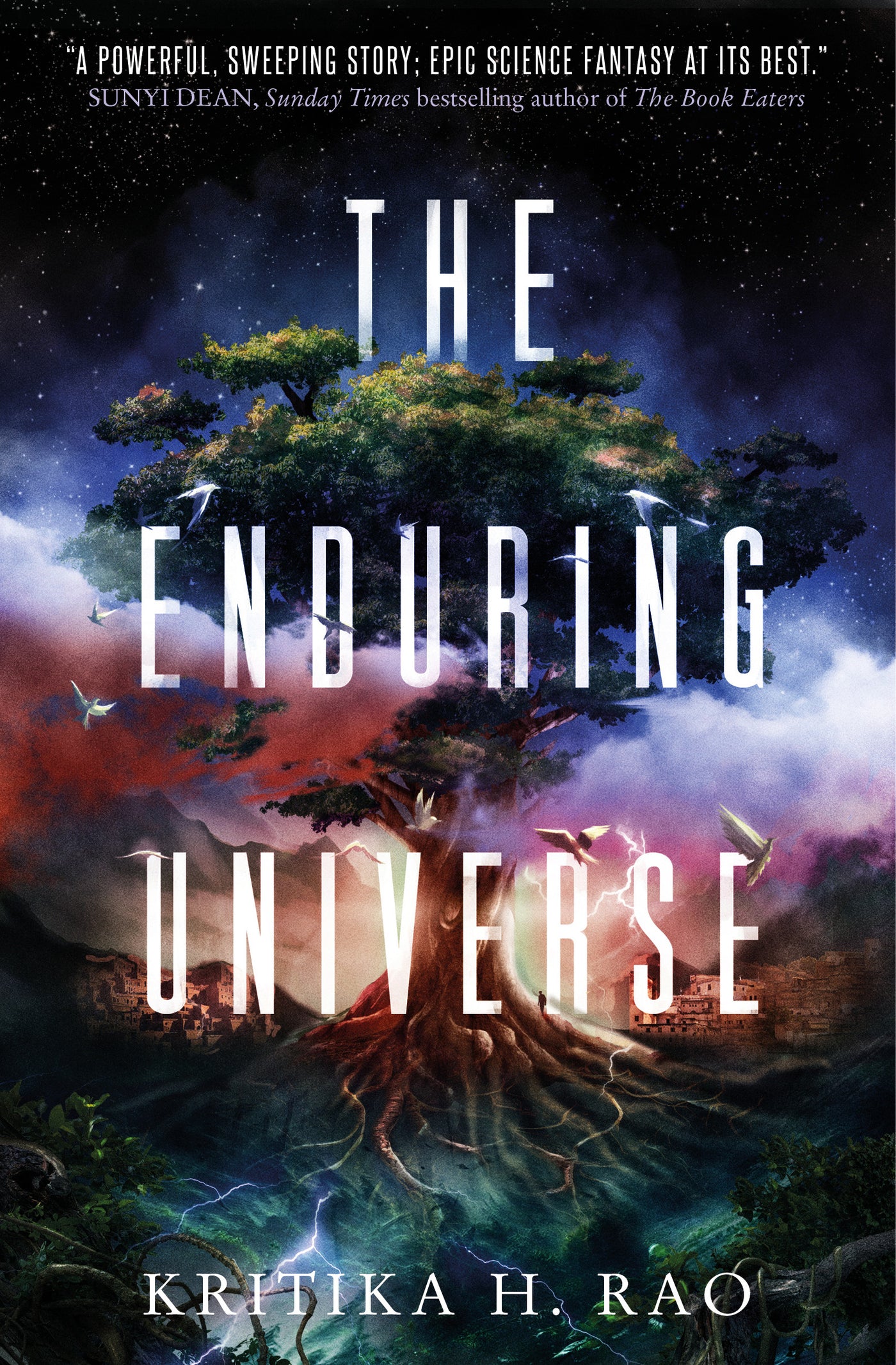 The Enduring Universe