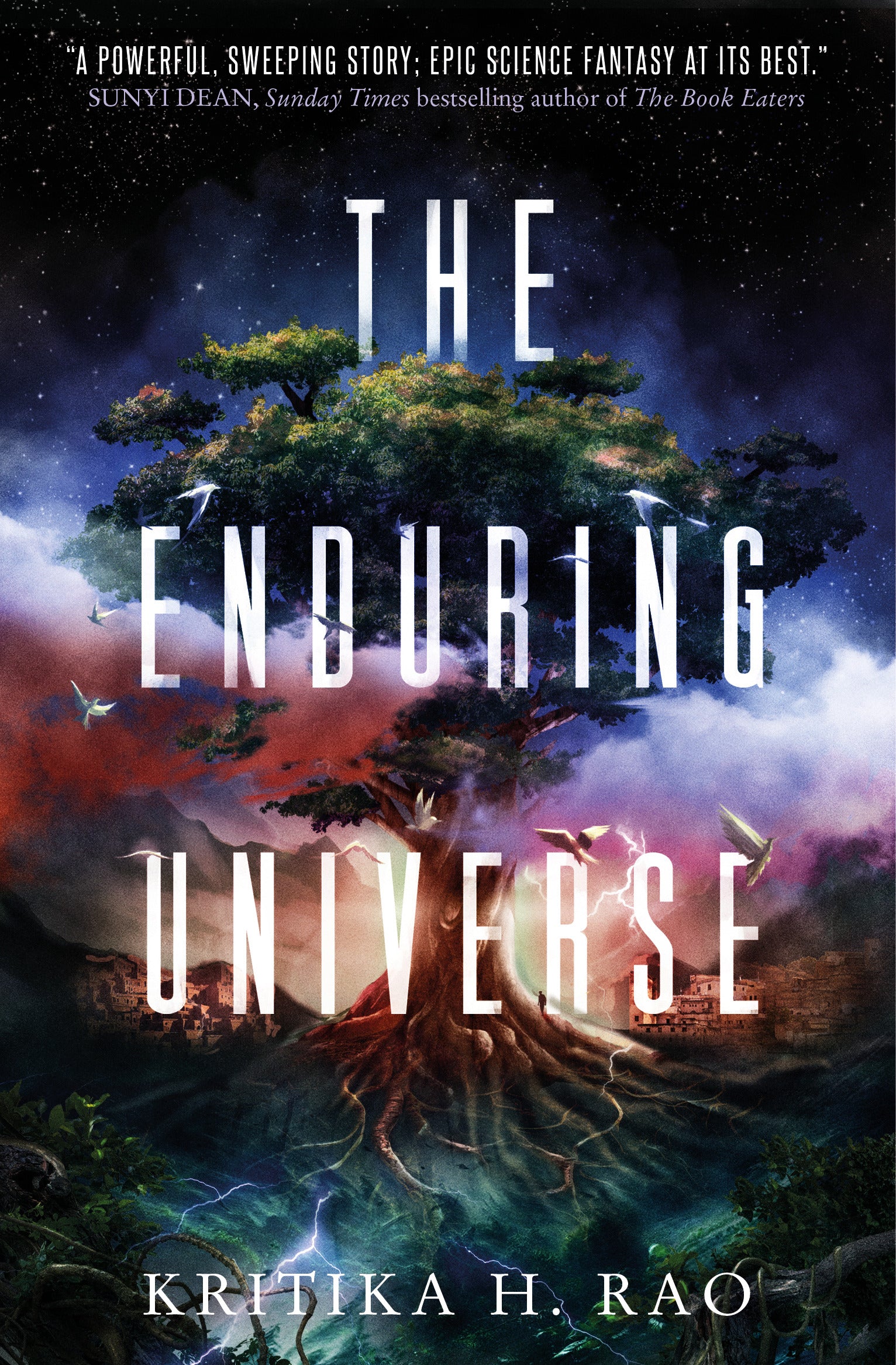 The Enduring Universe