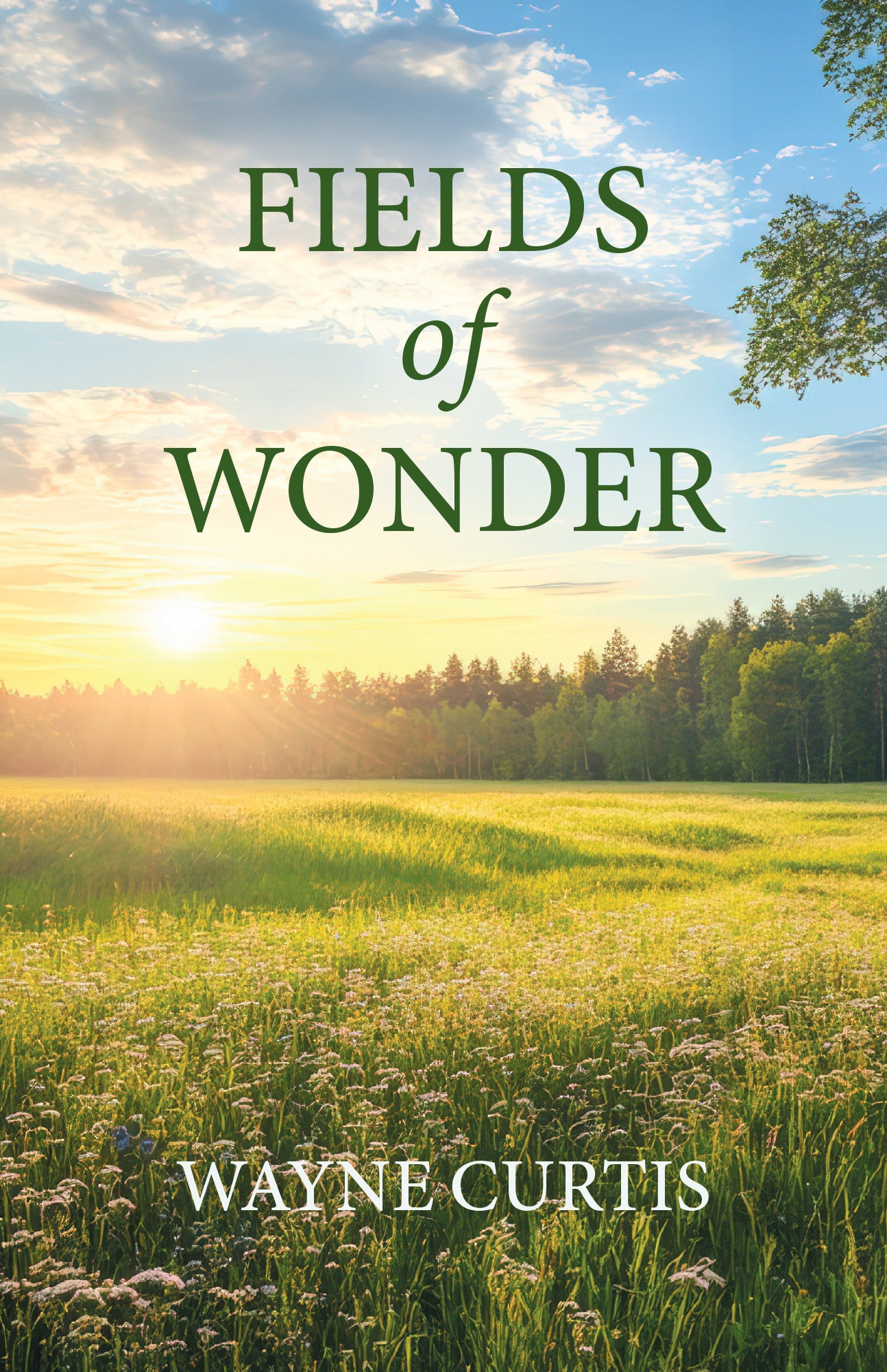 Fields of Wonder