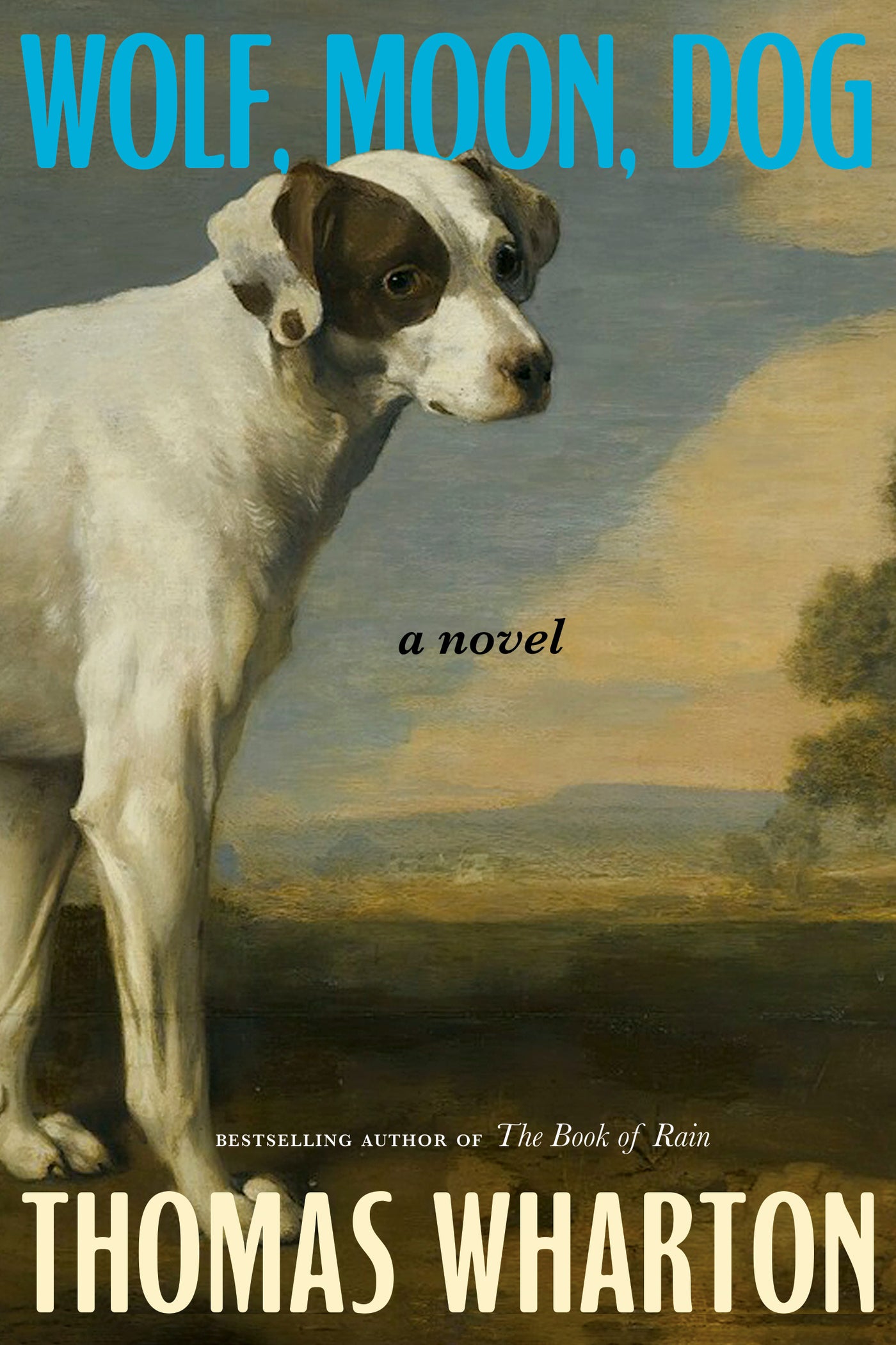 Wolf, Moon, Dog