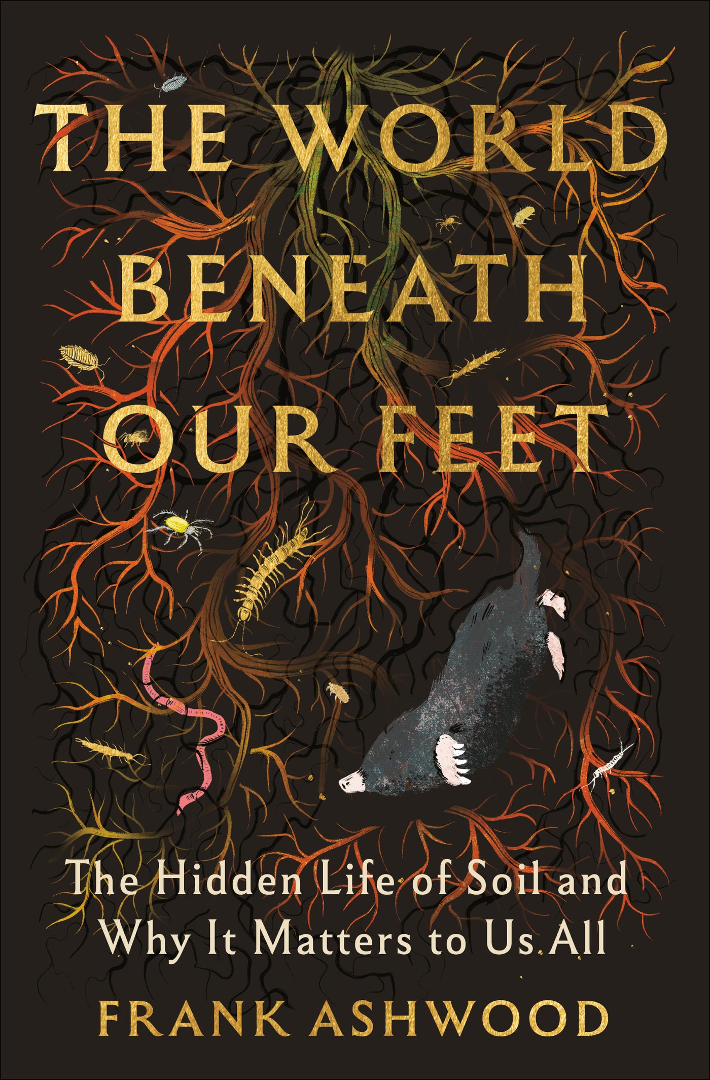 The World Beneath Our Feet