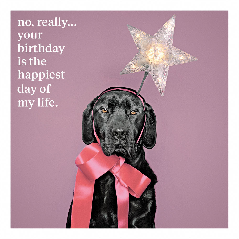 Your Birthday