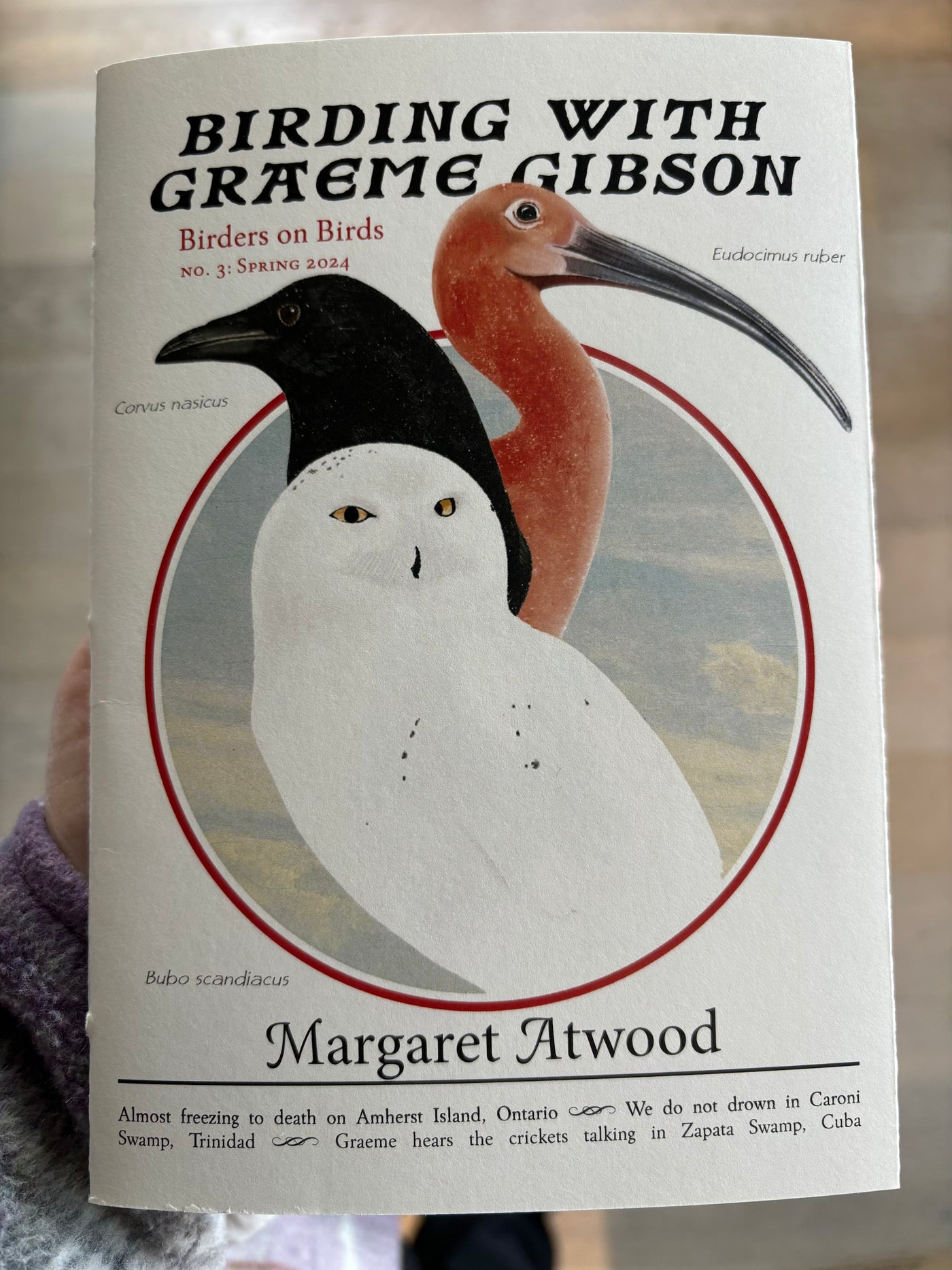 Birding with Graeme Gibson