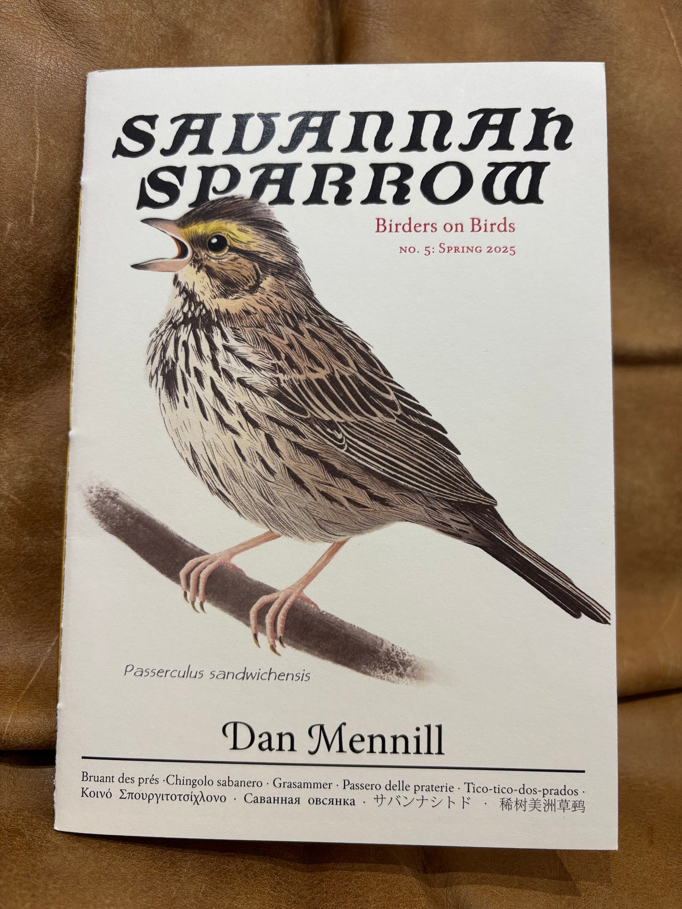 Savannah Sparrow: Birders on Birds