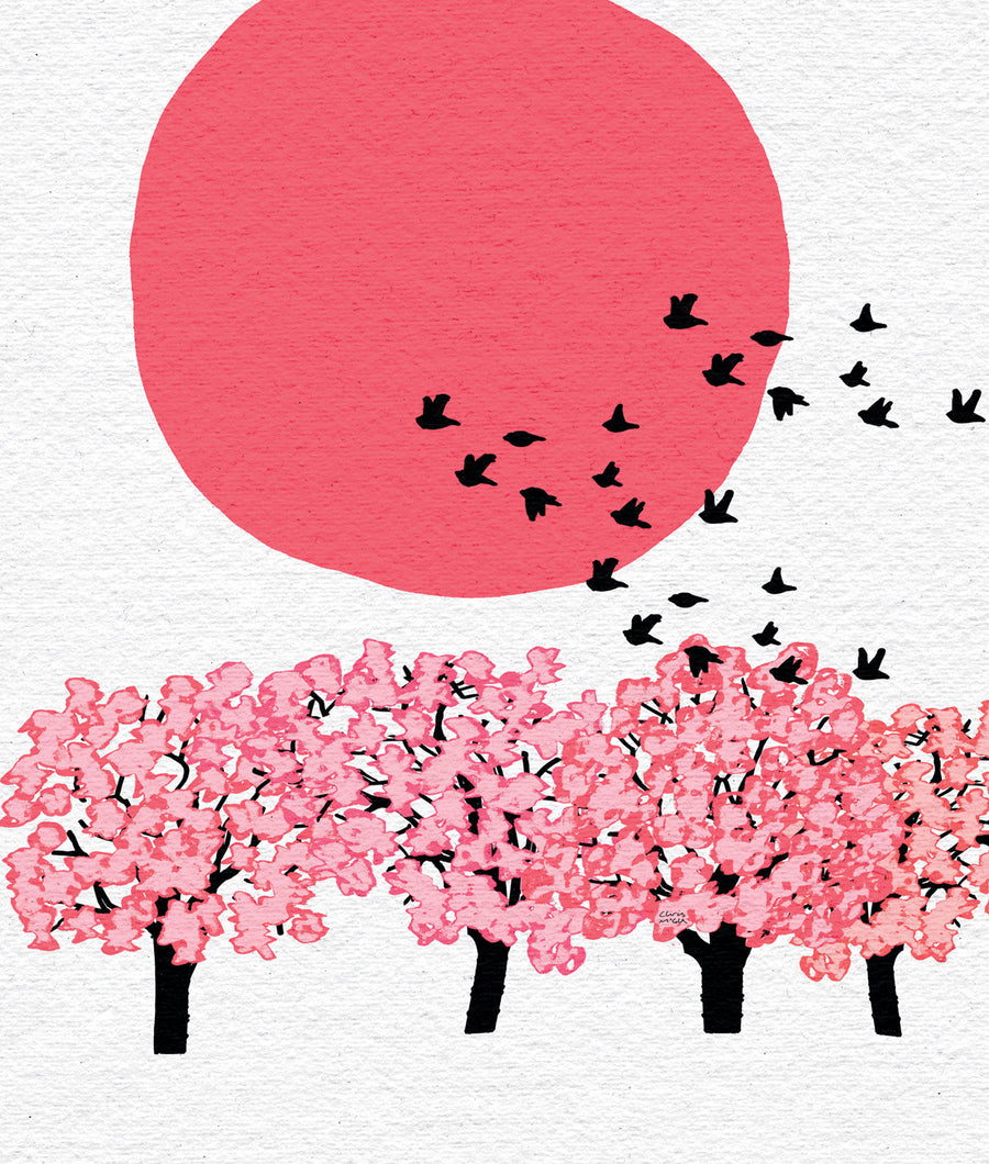 Cherry Blossom l Portfolio