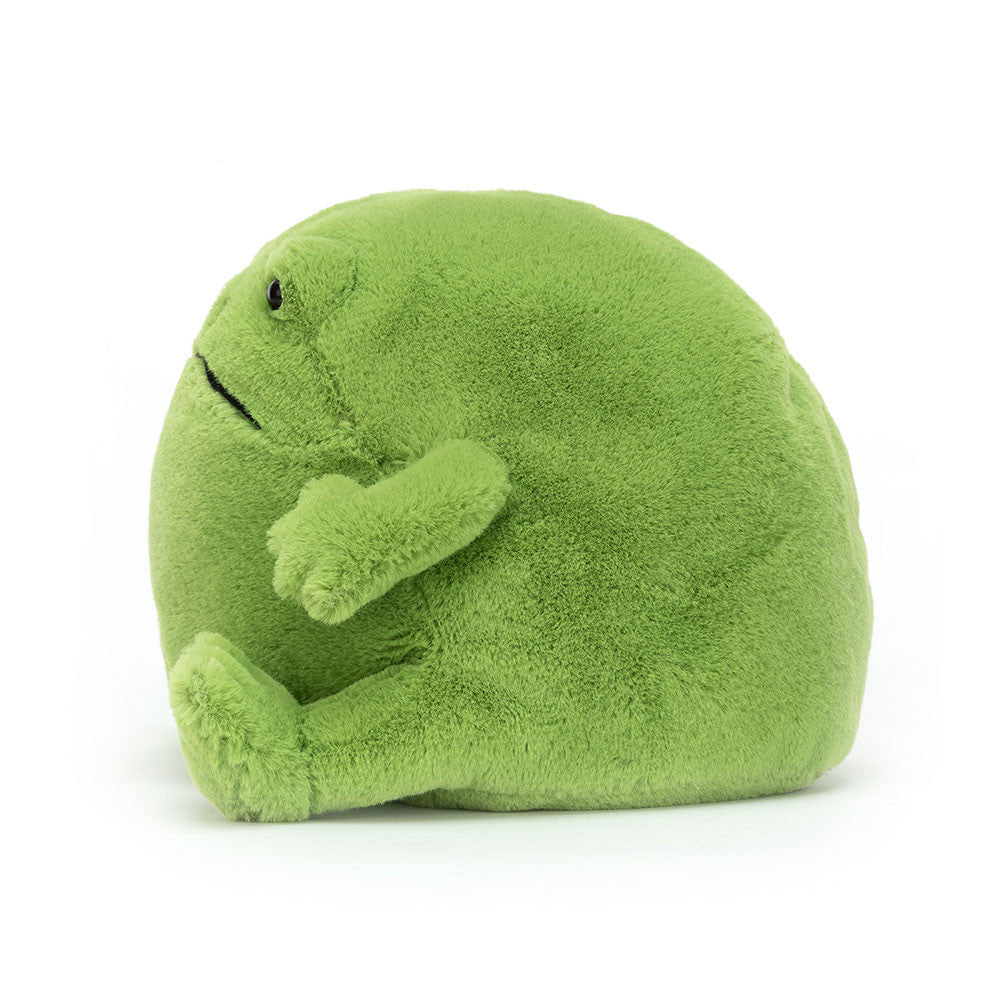 Ricky Rain Frog Medium/Small