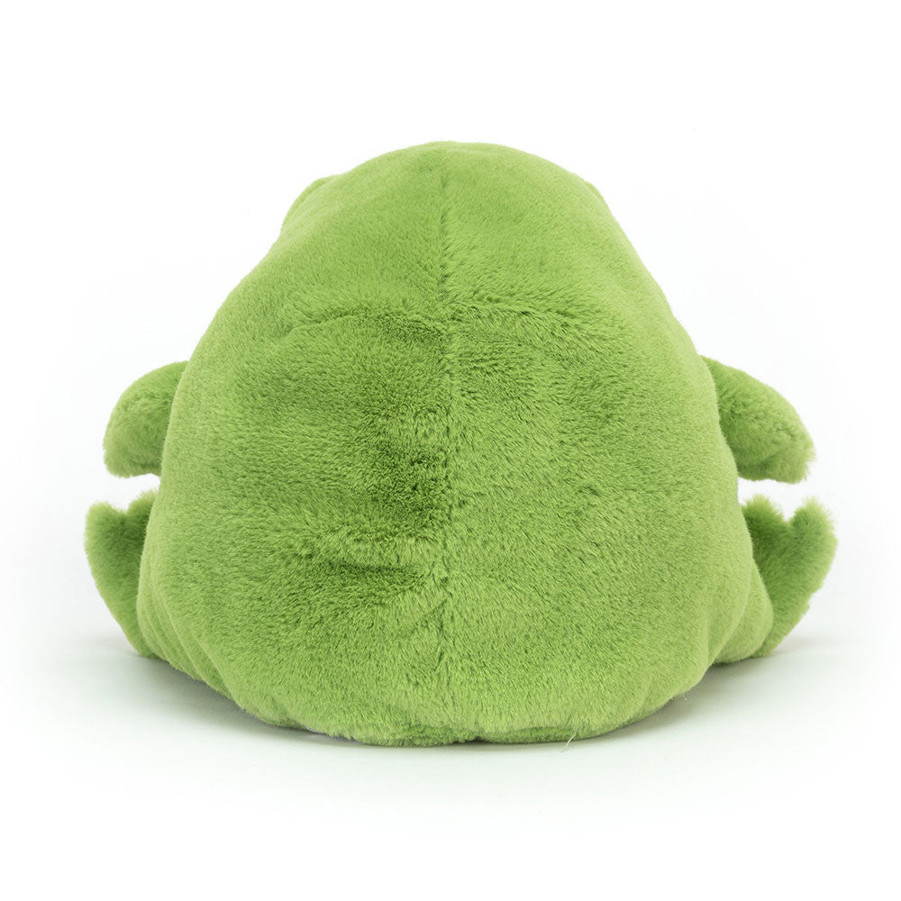Ricky Rain Frog Medium/Small