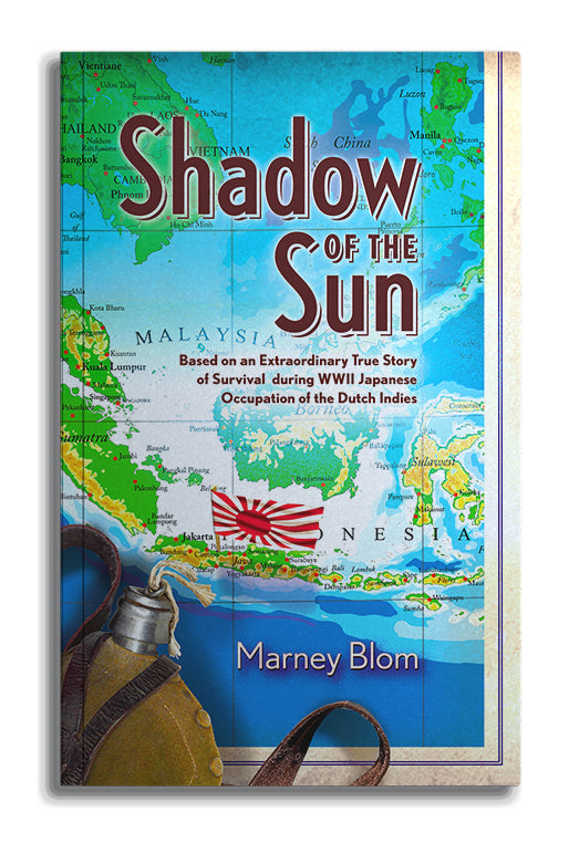 Shadow of the Sun