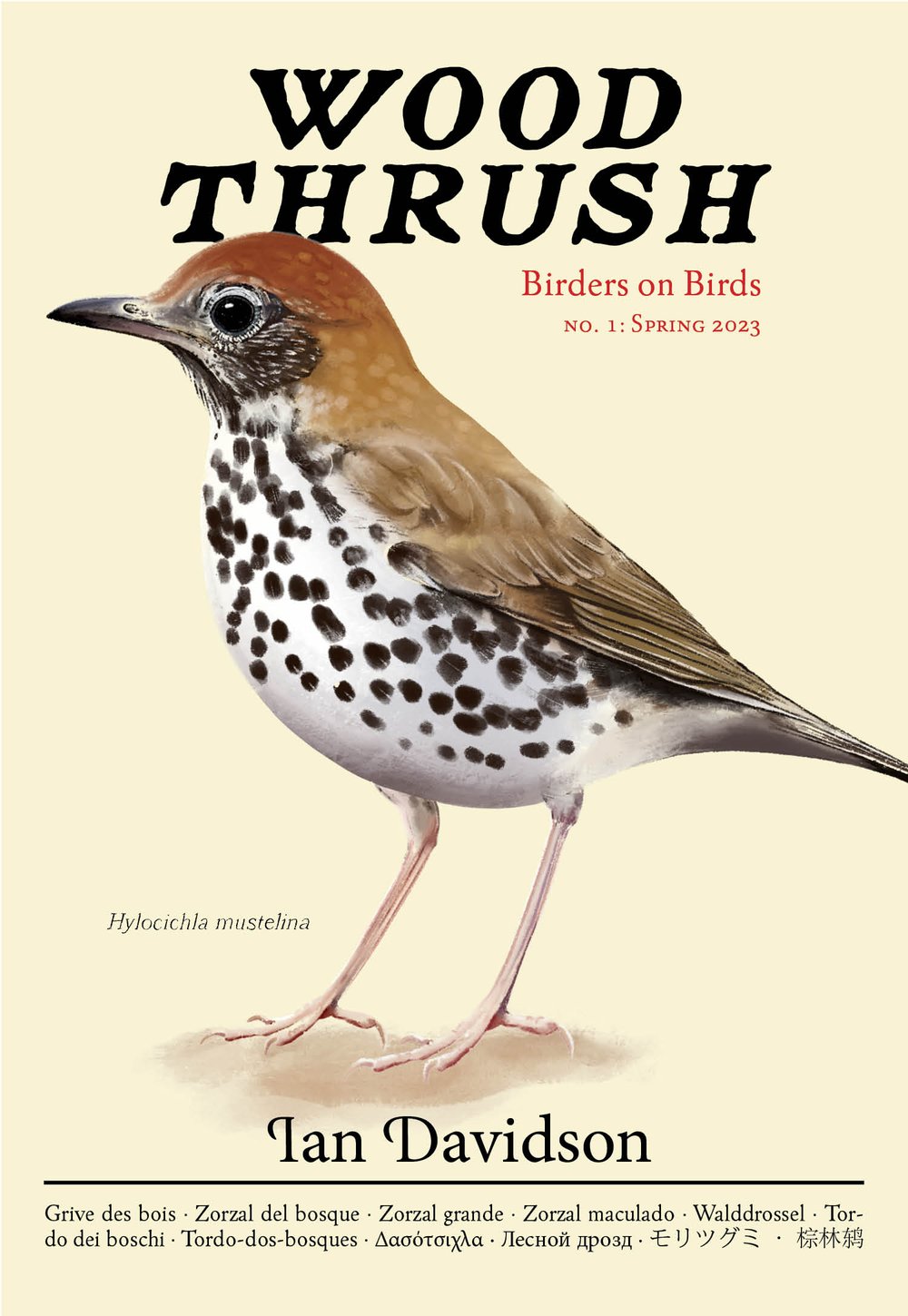 Wood Thrush: Birders on Birds