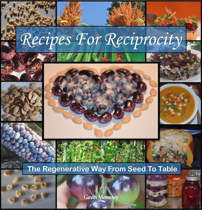 Recipes For Reciprocity : The Regenerative Way From Seed To Table