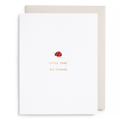Little Card Big Thanks