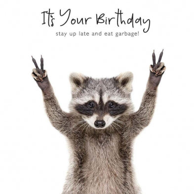 Racoon