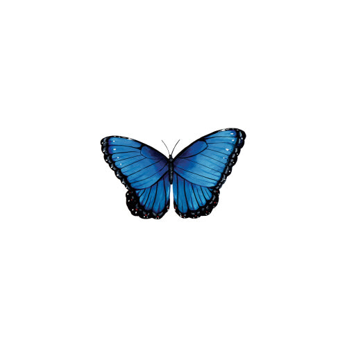 BLUE BUTTERFLY STICKER