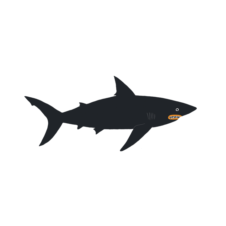 Dark Waters Swimming Shark Tattoo Pair