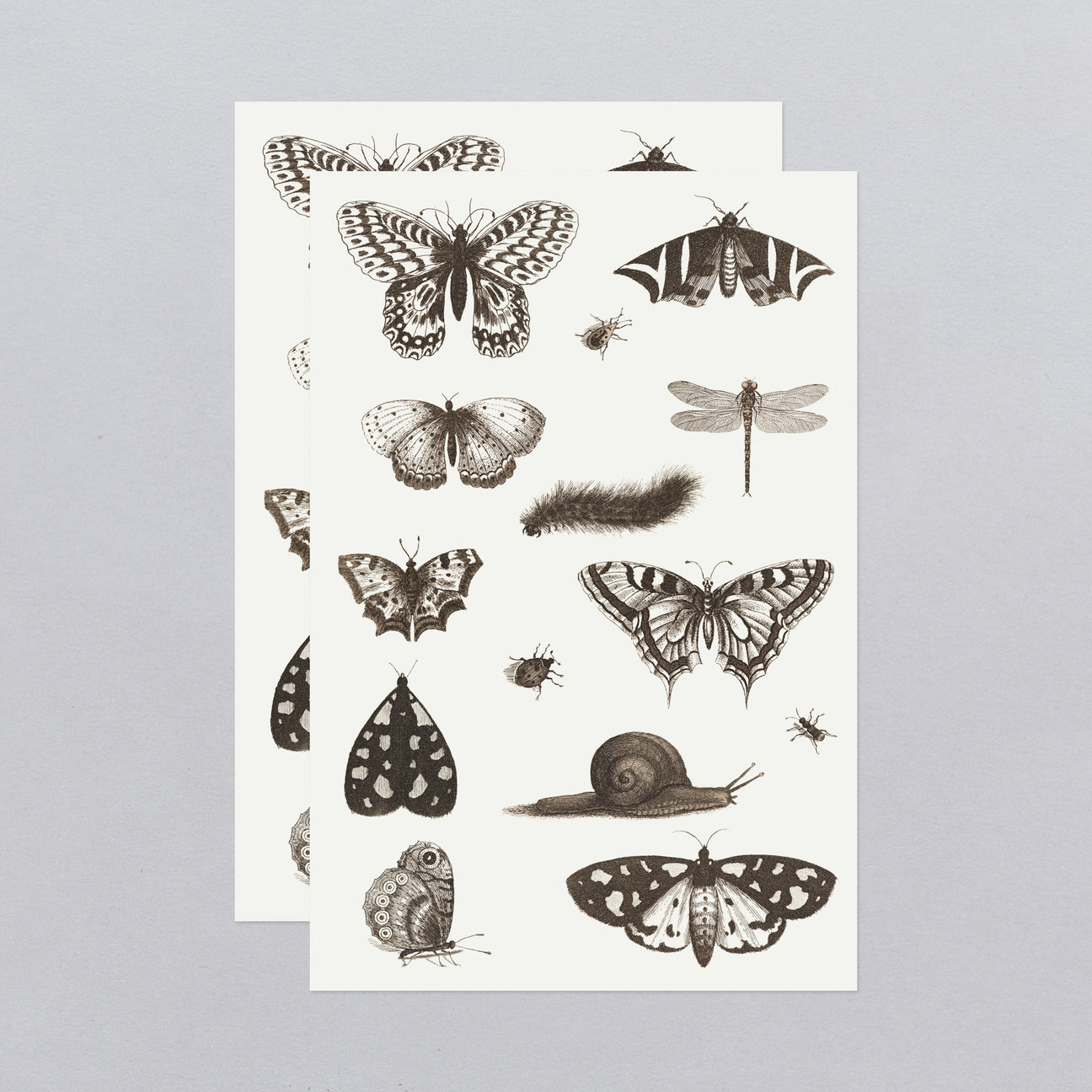 INSECTS TATTOO SHEET