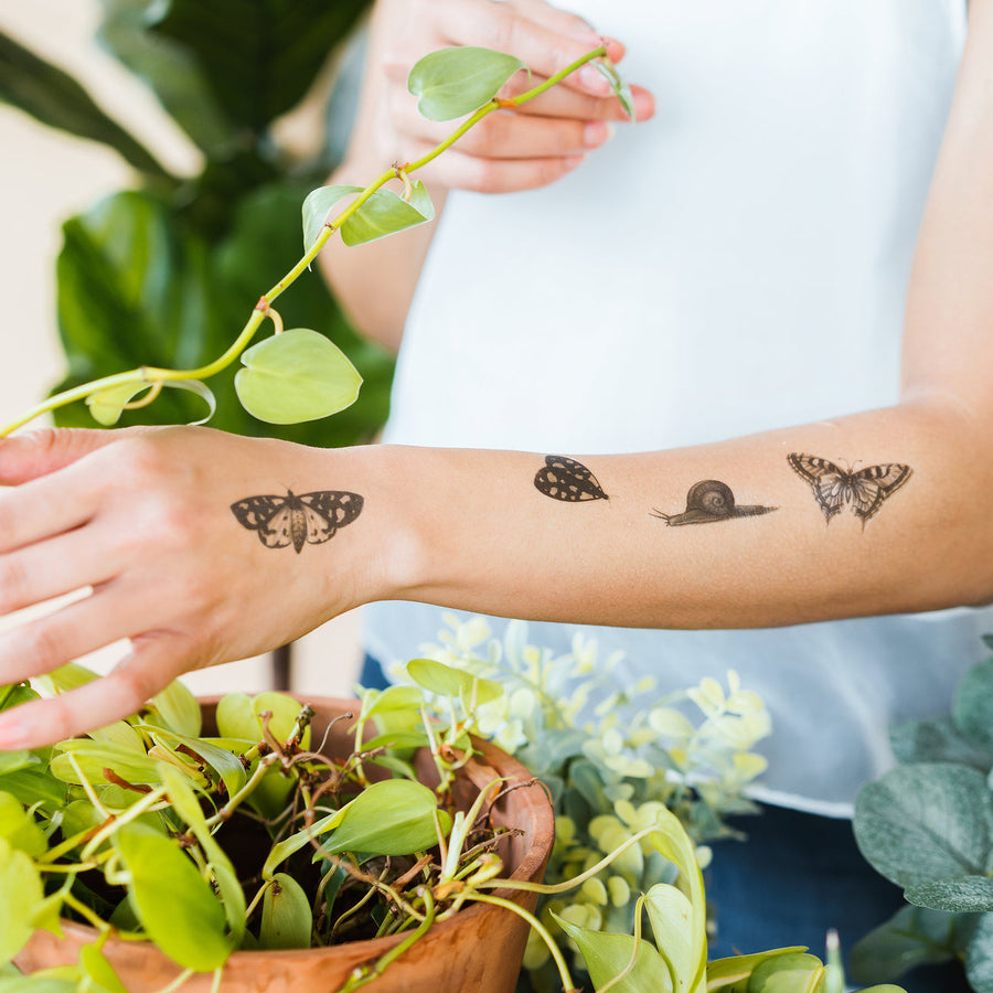 INSECTS TATTOO SHEET